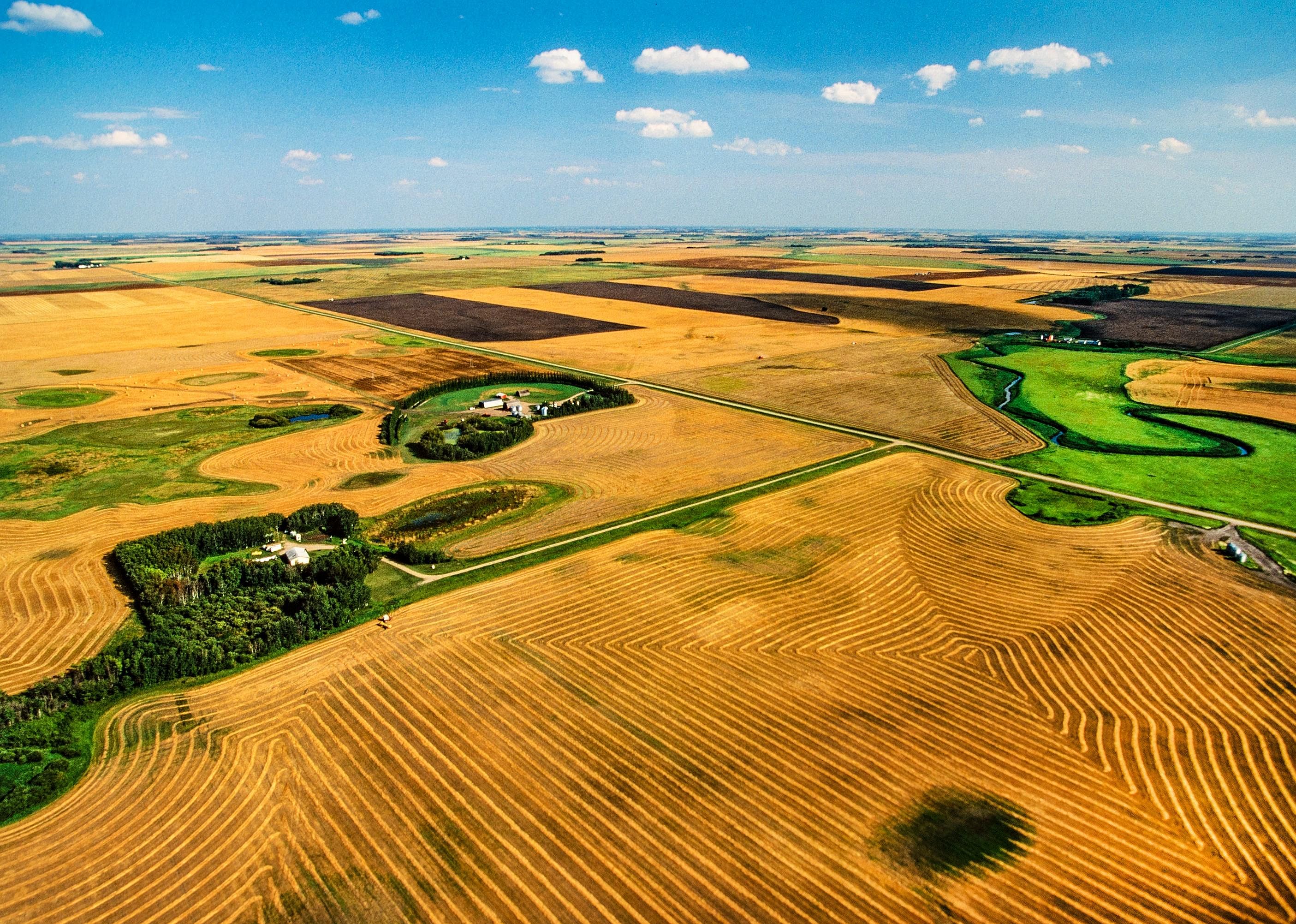 #38. Yorkton-Melville, Saskatchewan