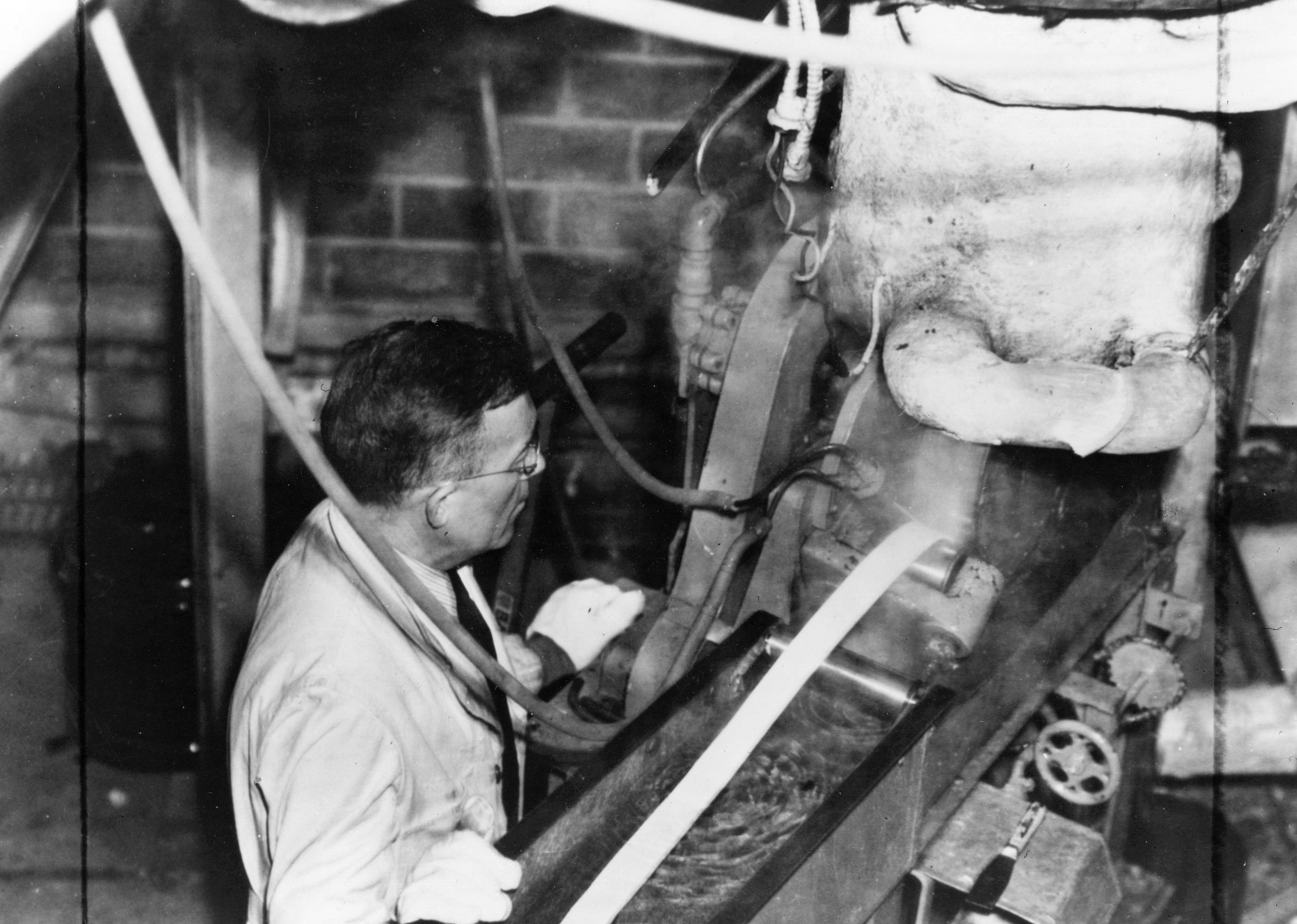 1939: DuPont begins producing nylon