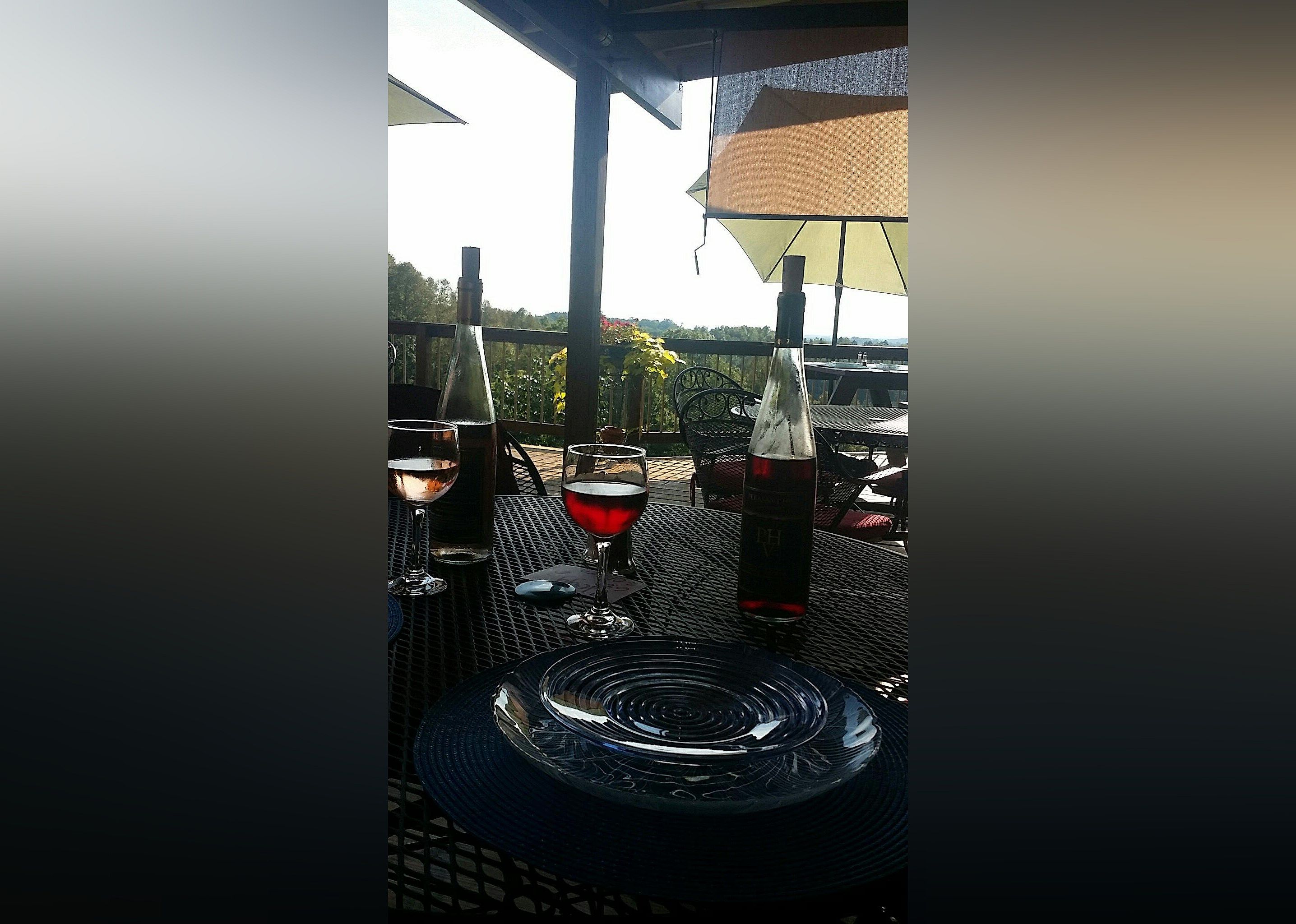 #20. Pleasant Hill Vineyards