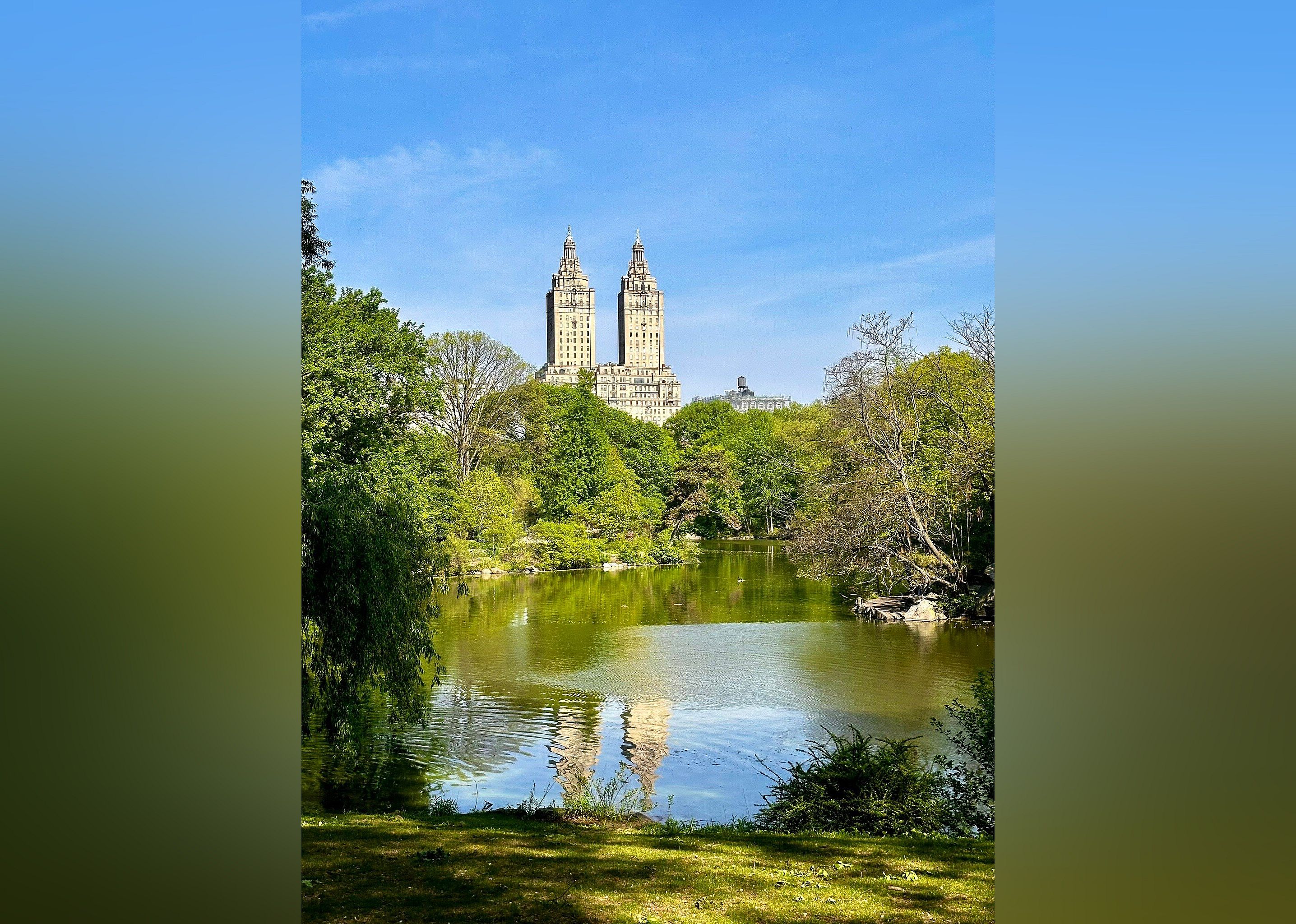 #1. Central Park