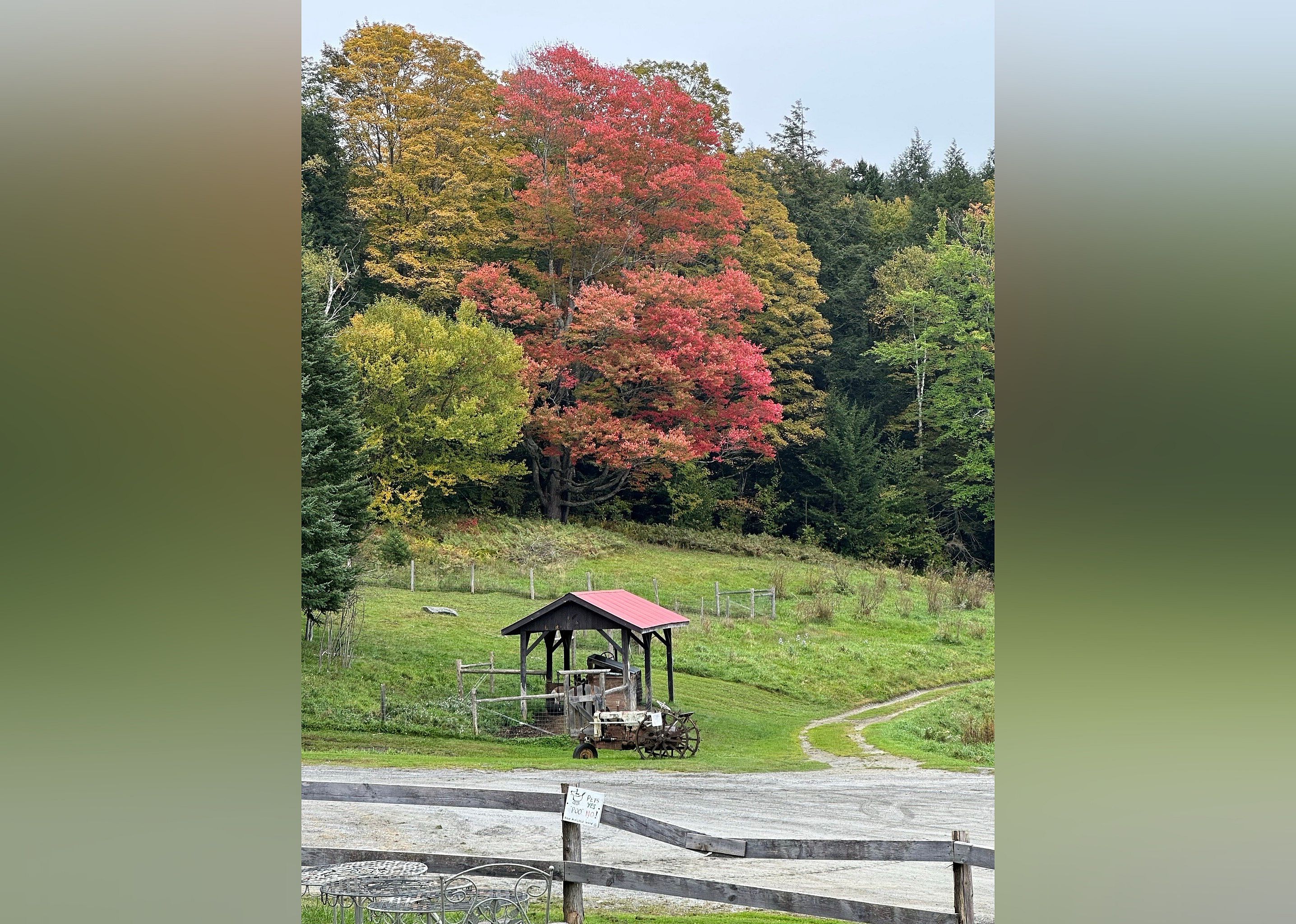 #20. Morse Farm Maple Sugarworks