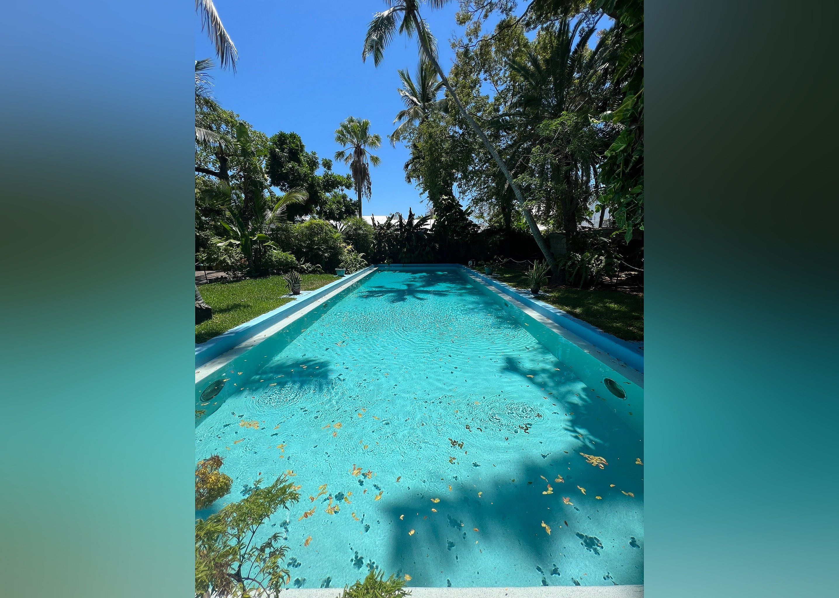 #9. The Ernest Hemingway Home and Museum