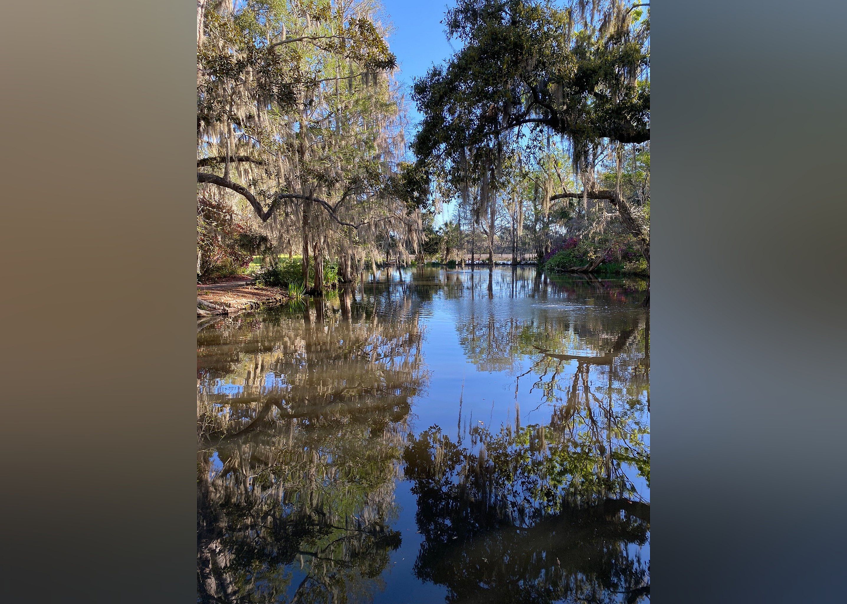 #1. Magnolia Plantation & Gardens