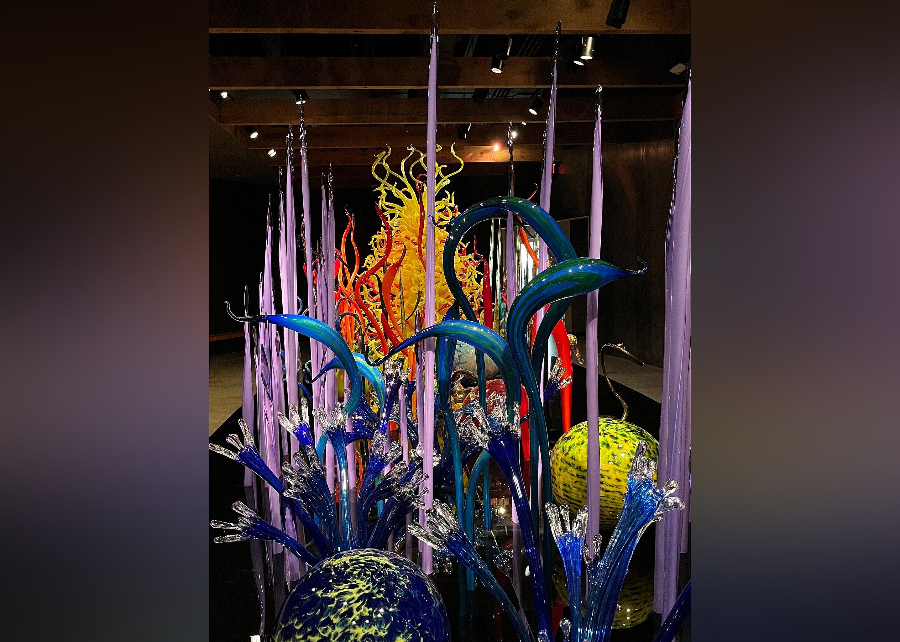 #23. Chihuly Collection