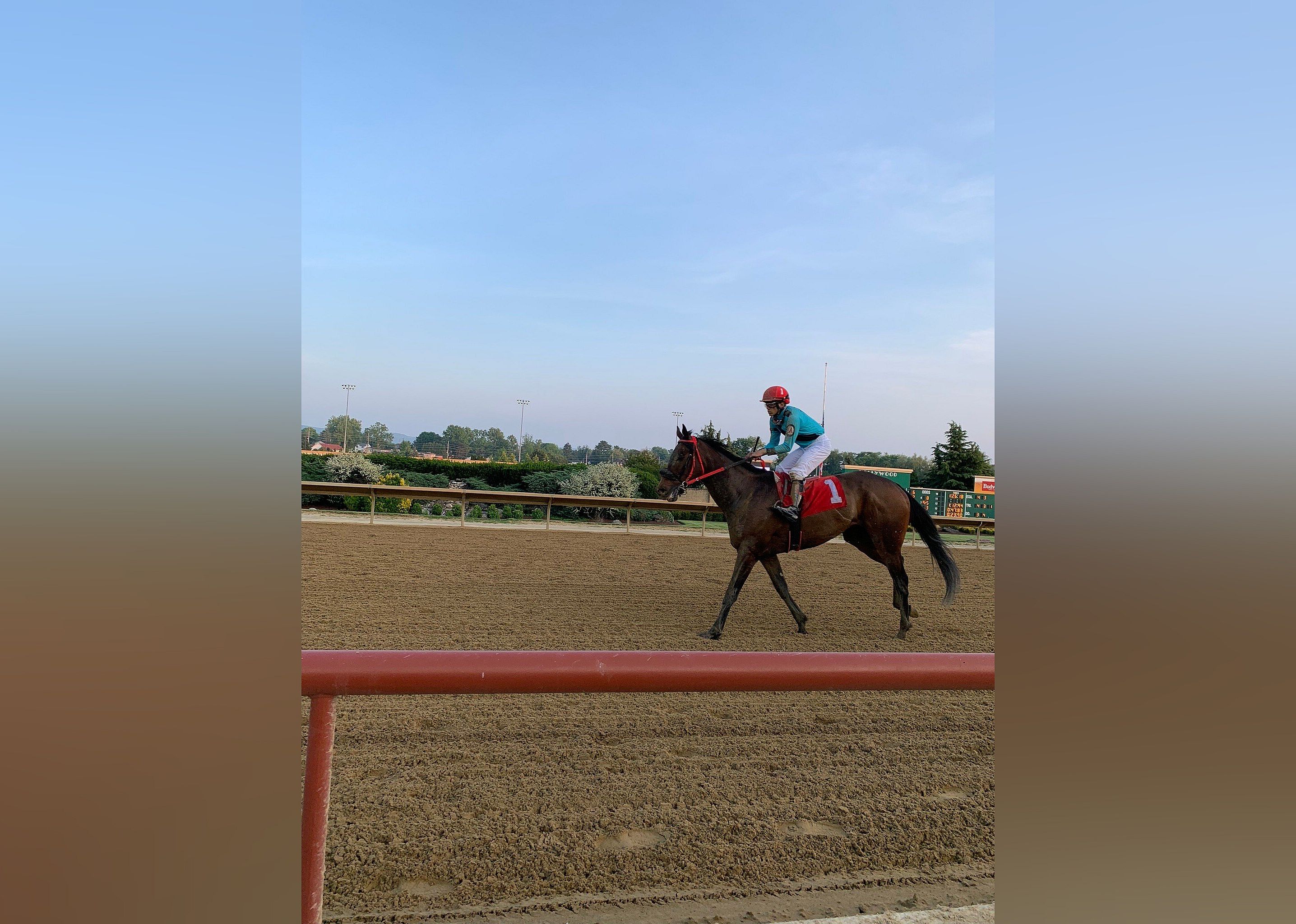 #18. Hollywood Casino At Charles Town Races