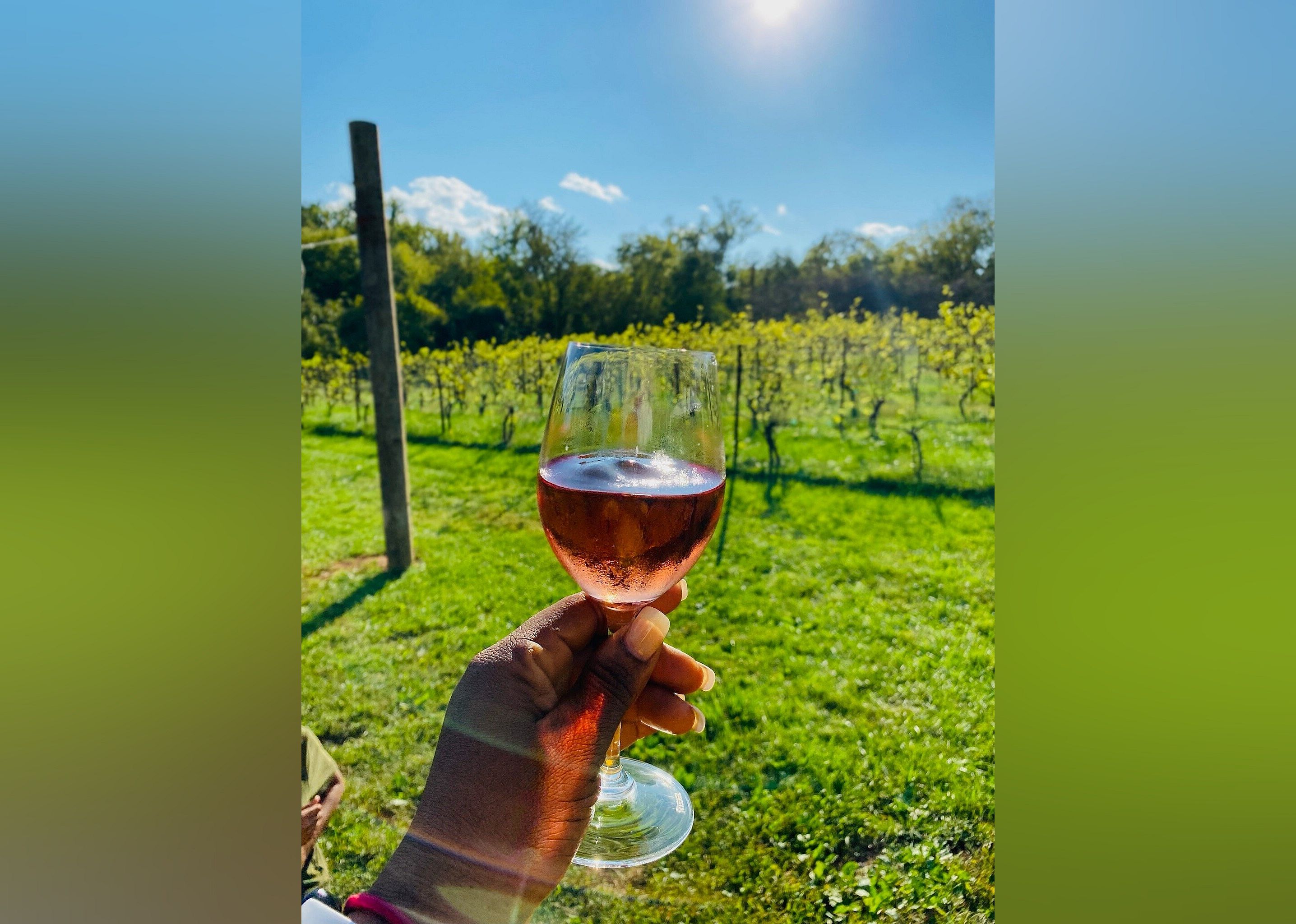 #12. Rocklands Farm Winery and Market