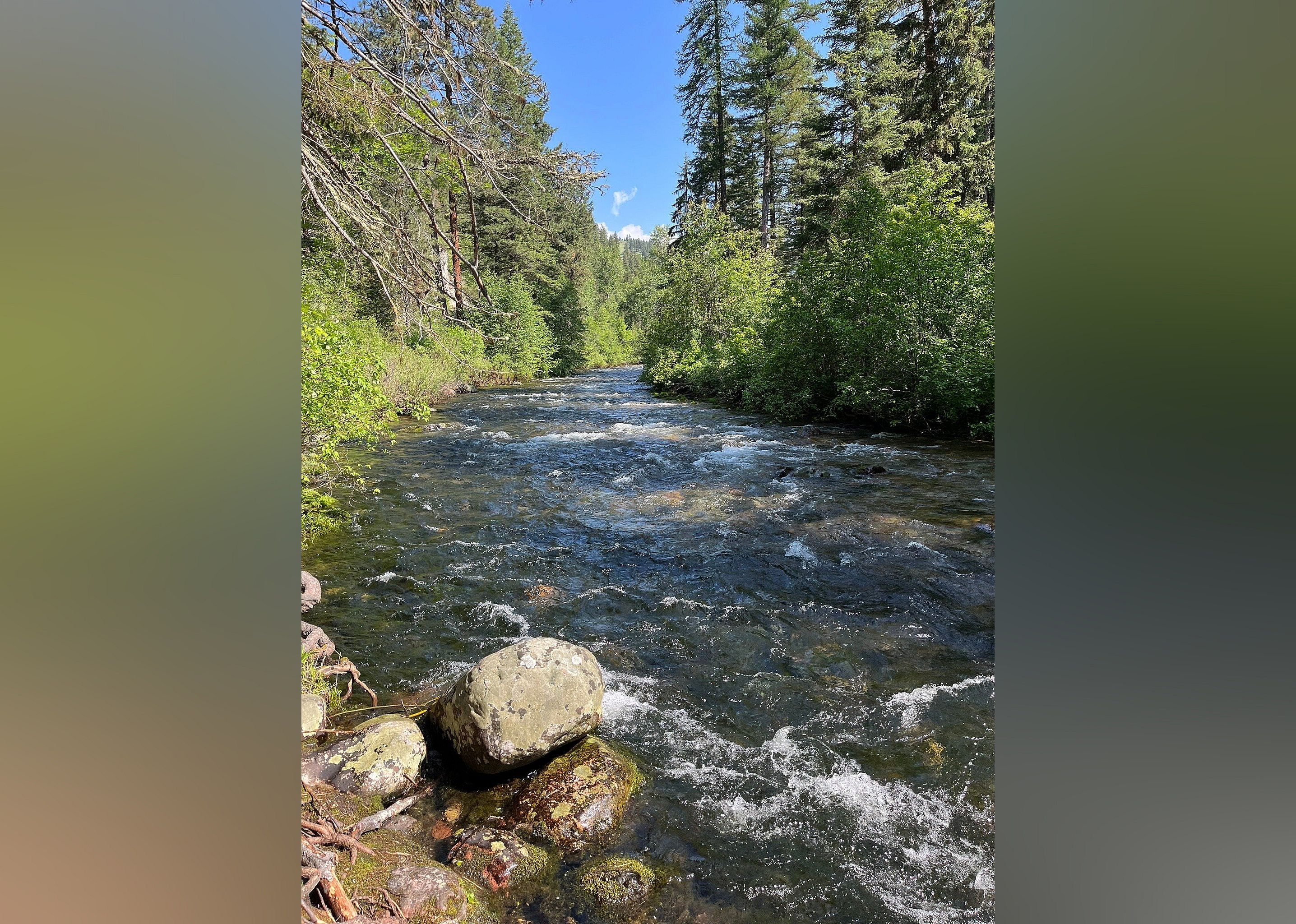 #19. Rattlesnake National Recreation Area