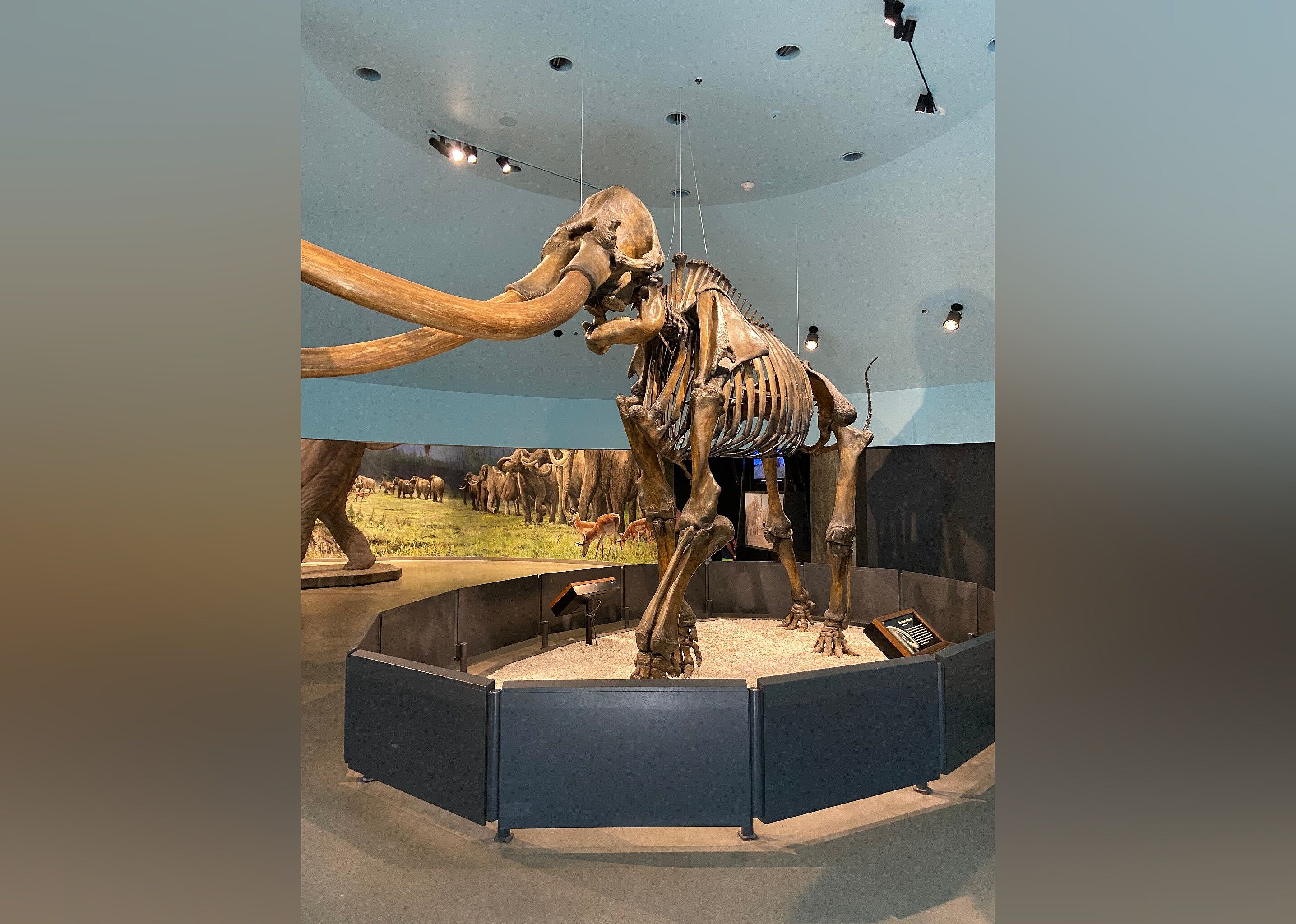 #8. La Brea Tar Pits and Museum