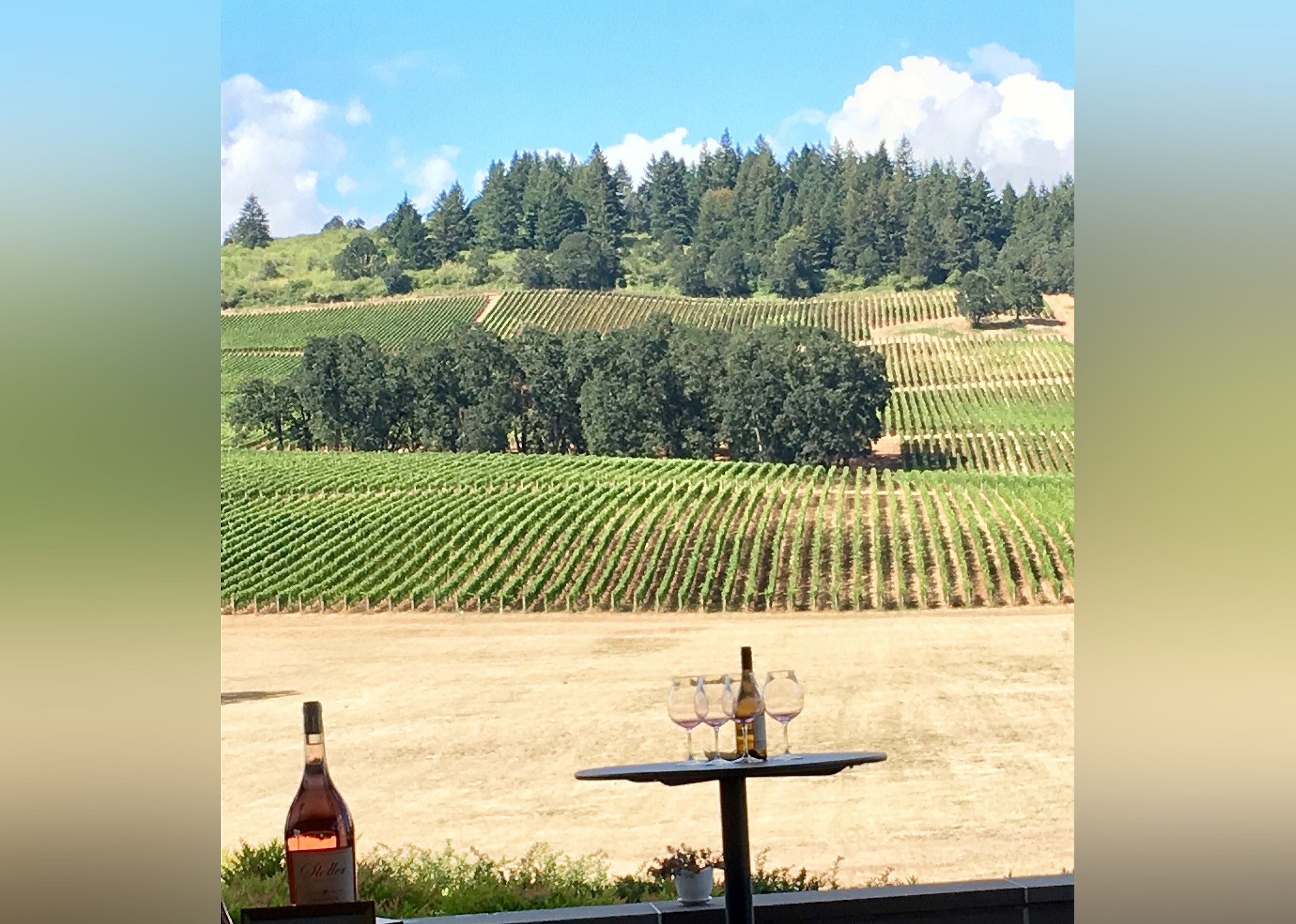 #9. Stoller Family Estate