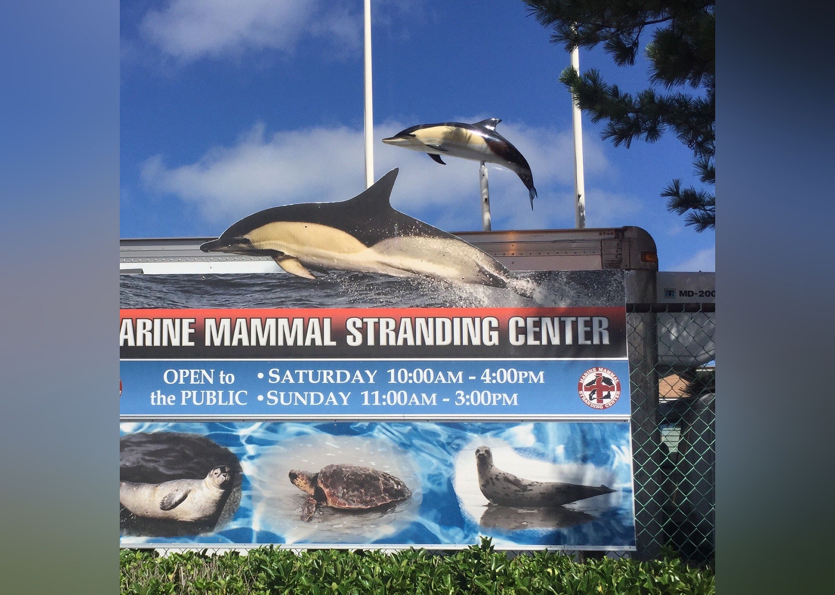 #23. Marine Mammal Stranding Center