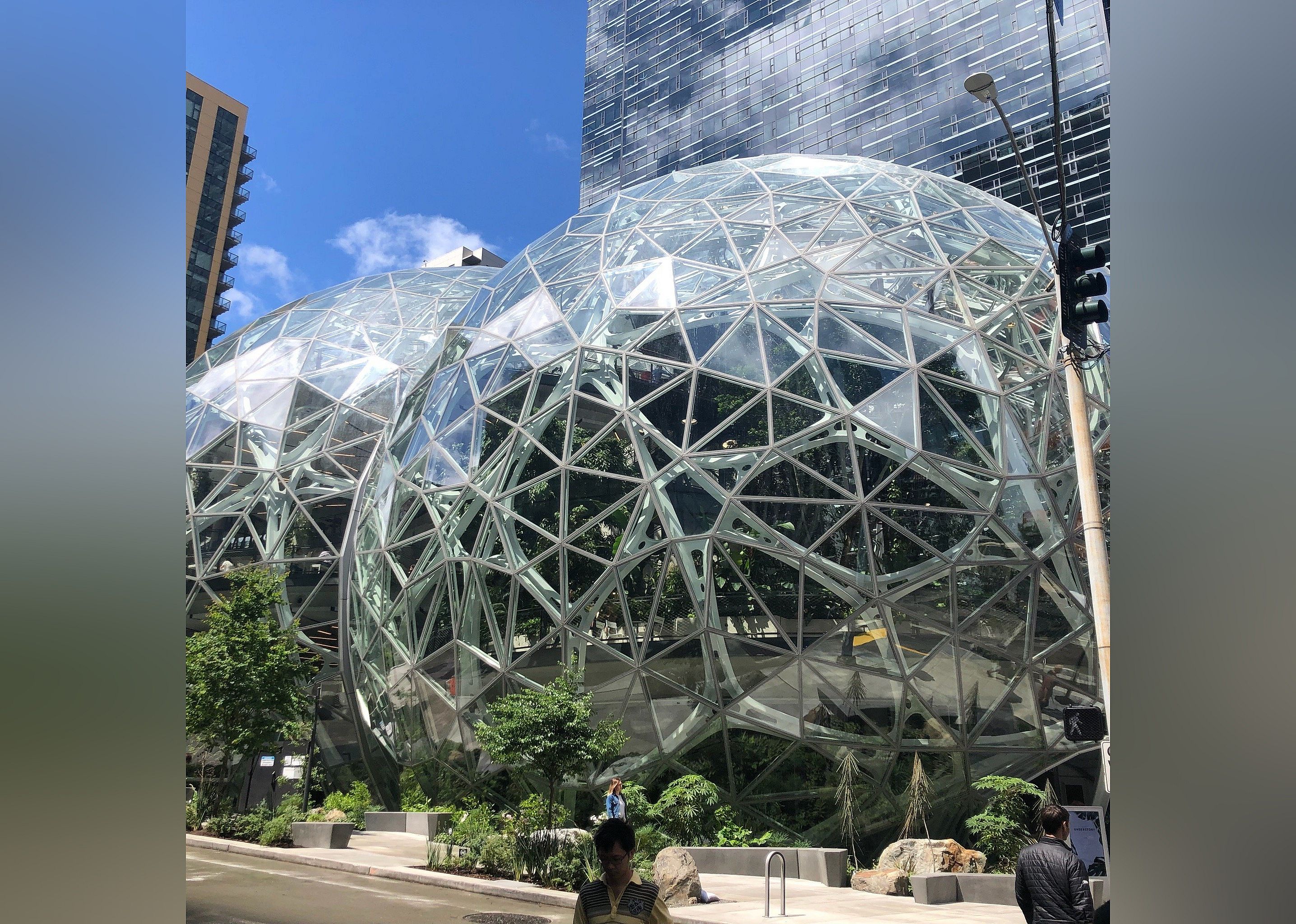 #25. Amazon Spheres