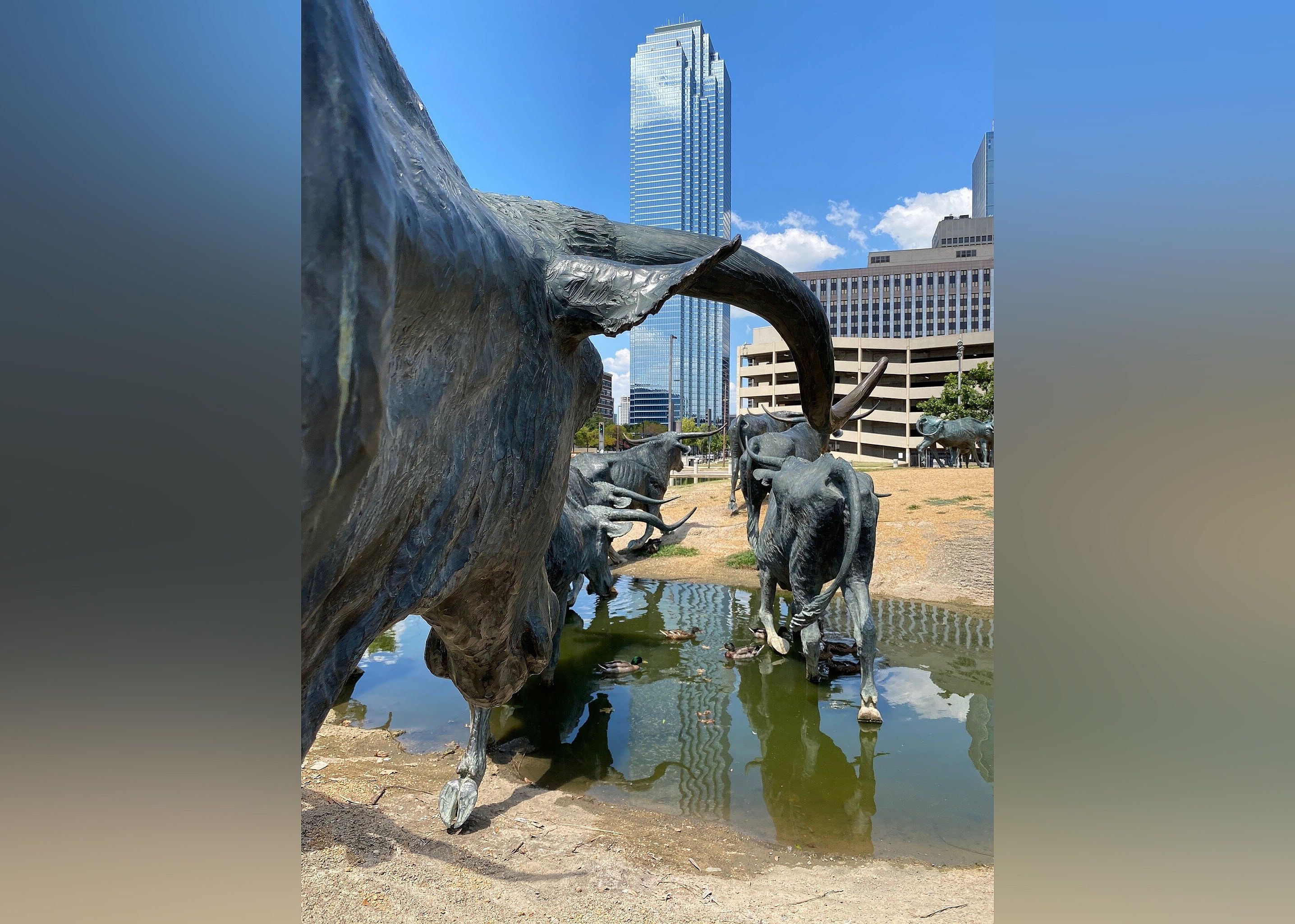 #28. Dallas Cattle Drive Sculptures