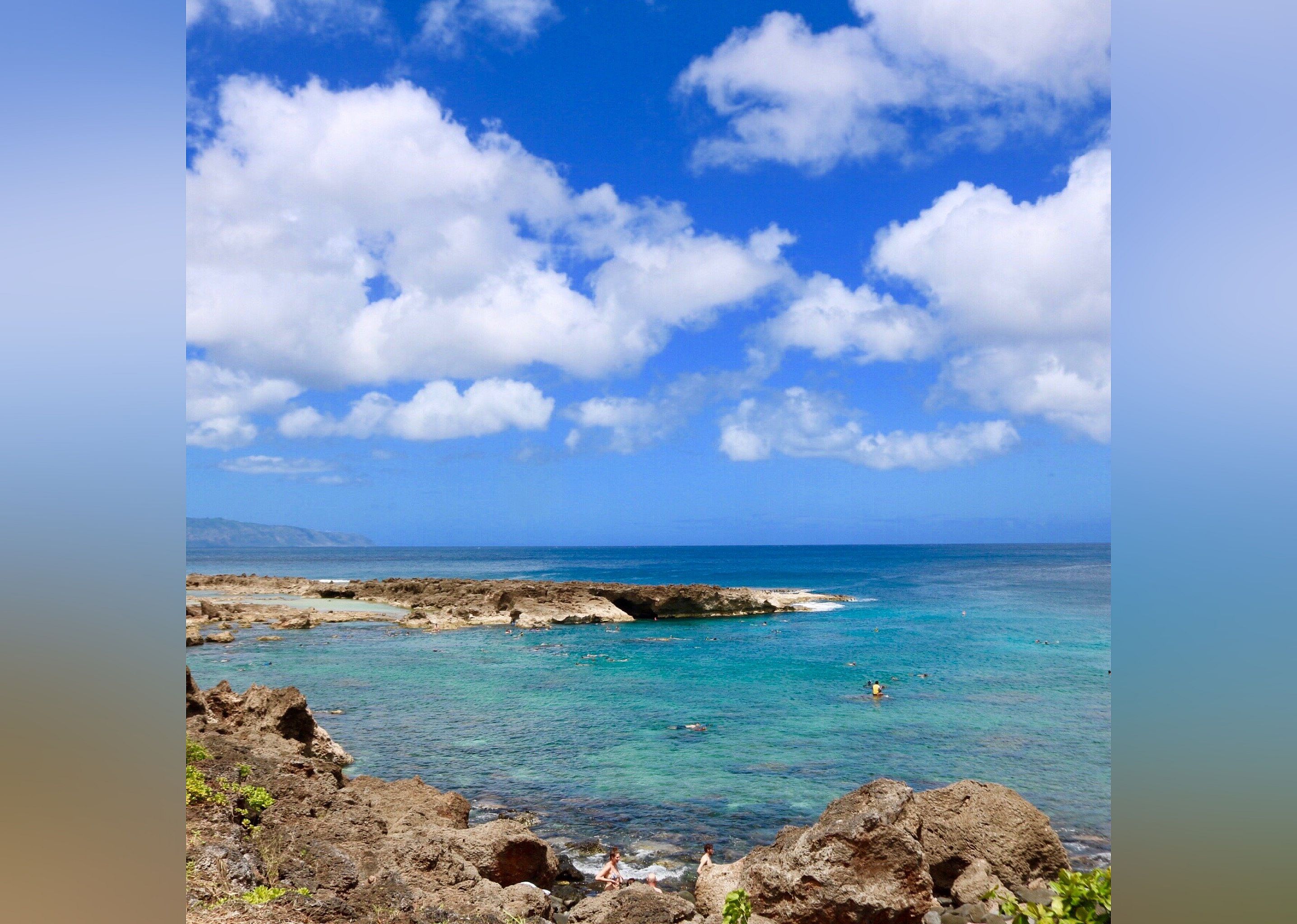 #22. Shark's Cove