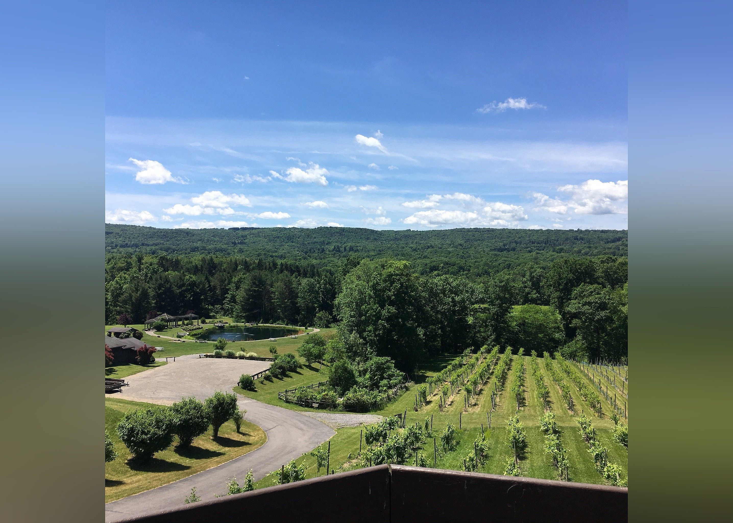#28. Six Mile Creek Vineyard