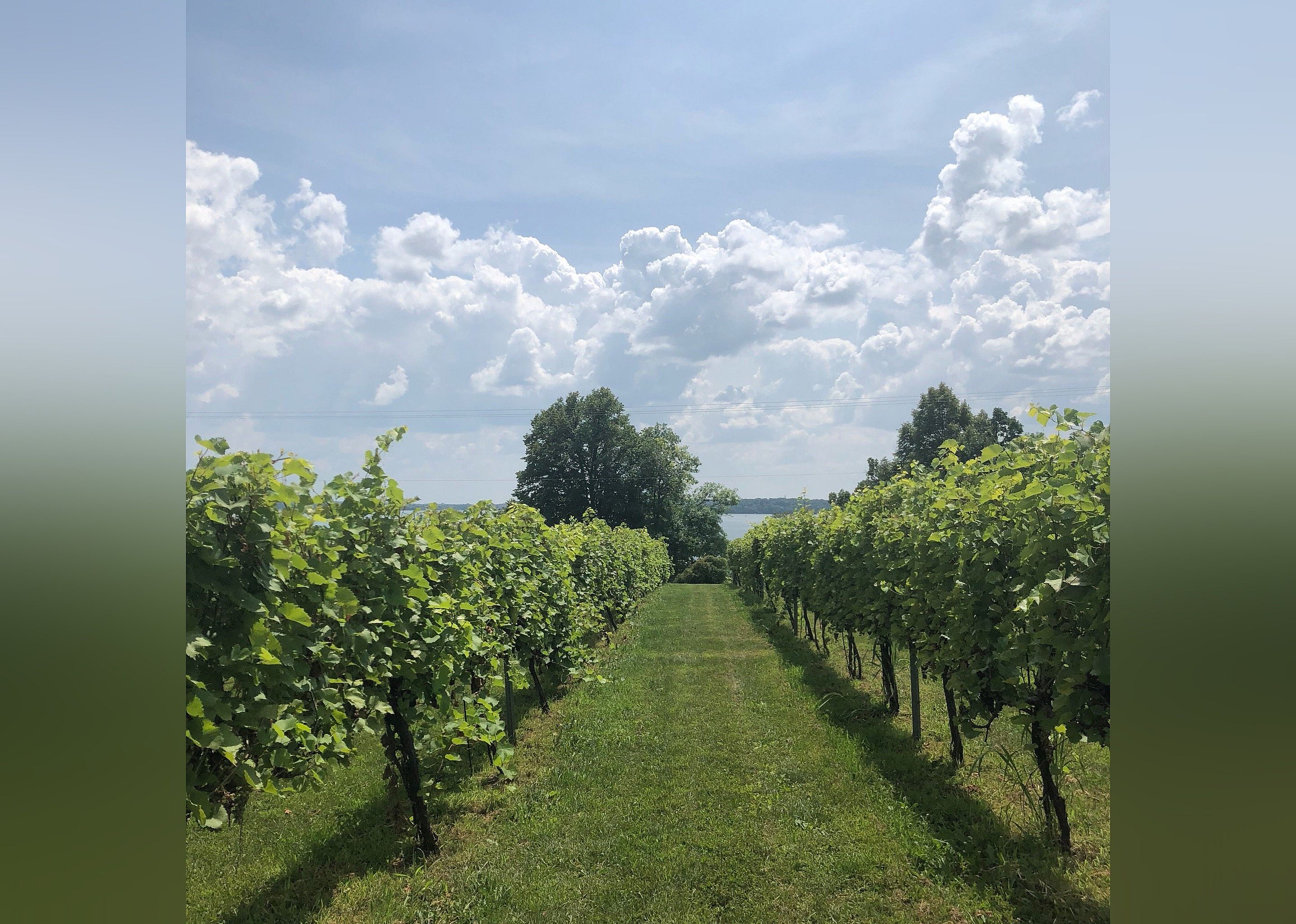 #20. The Winery at Sovereign Estate