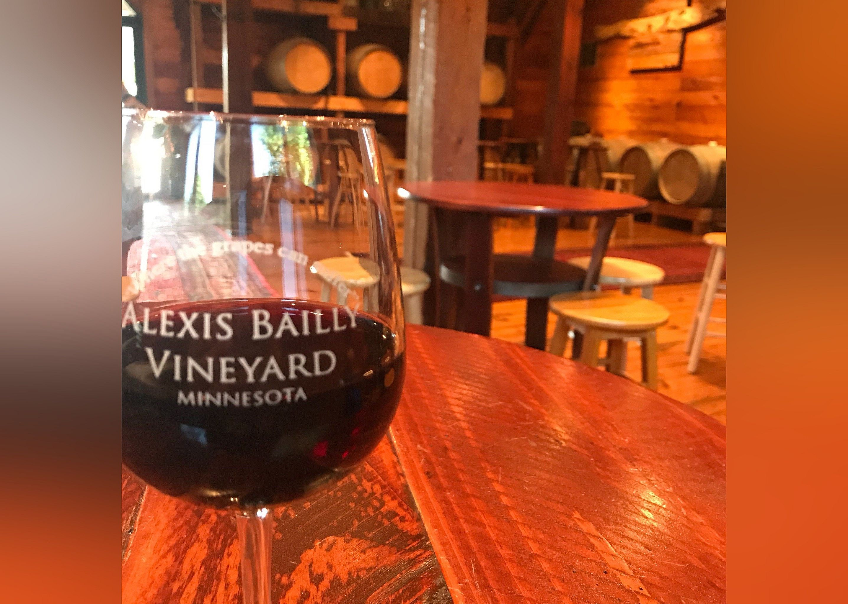 #10. Alexis Bailly Vineyard
