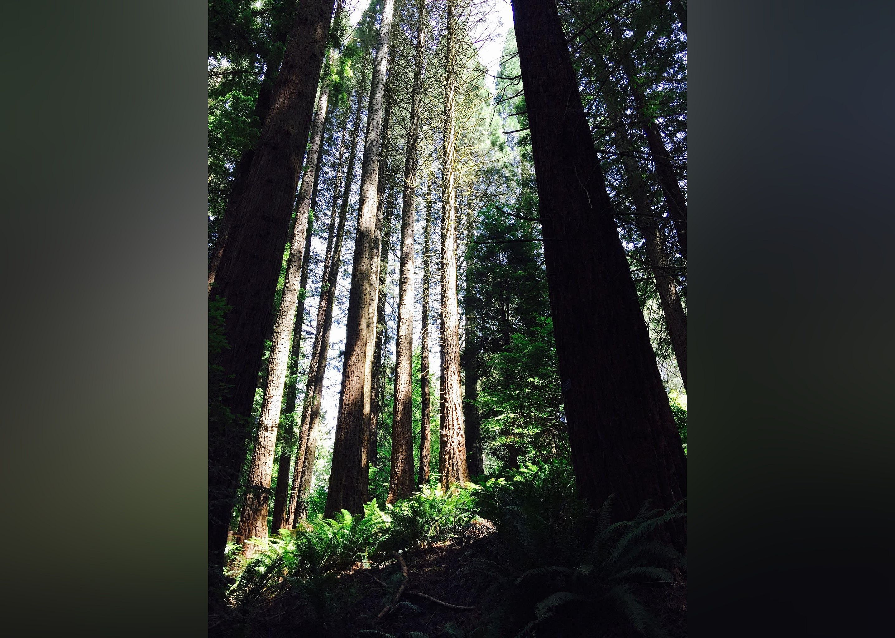 #28. Hoyt Arboretum