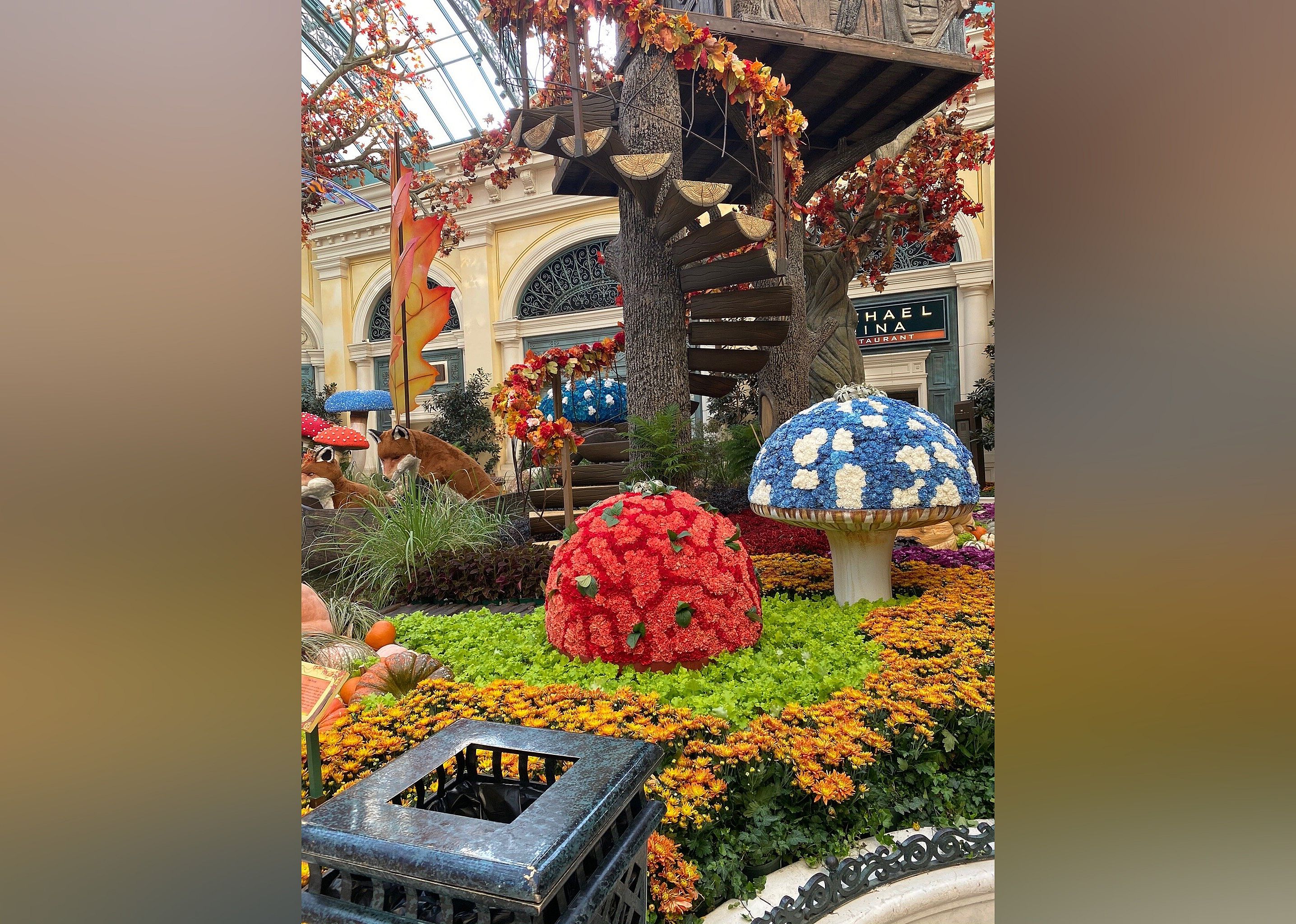 #4. Bellagio Conservatory & Botanical Garden