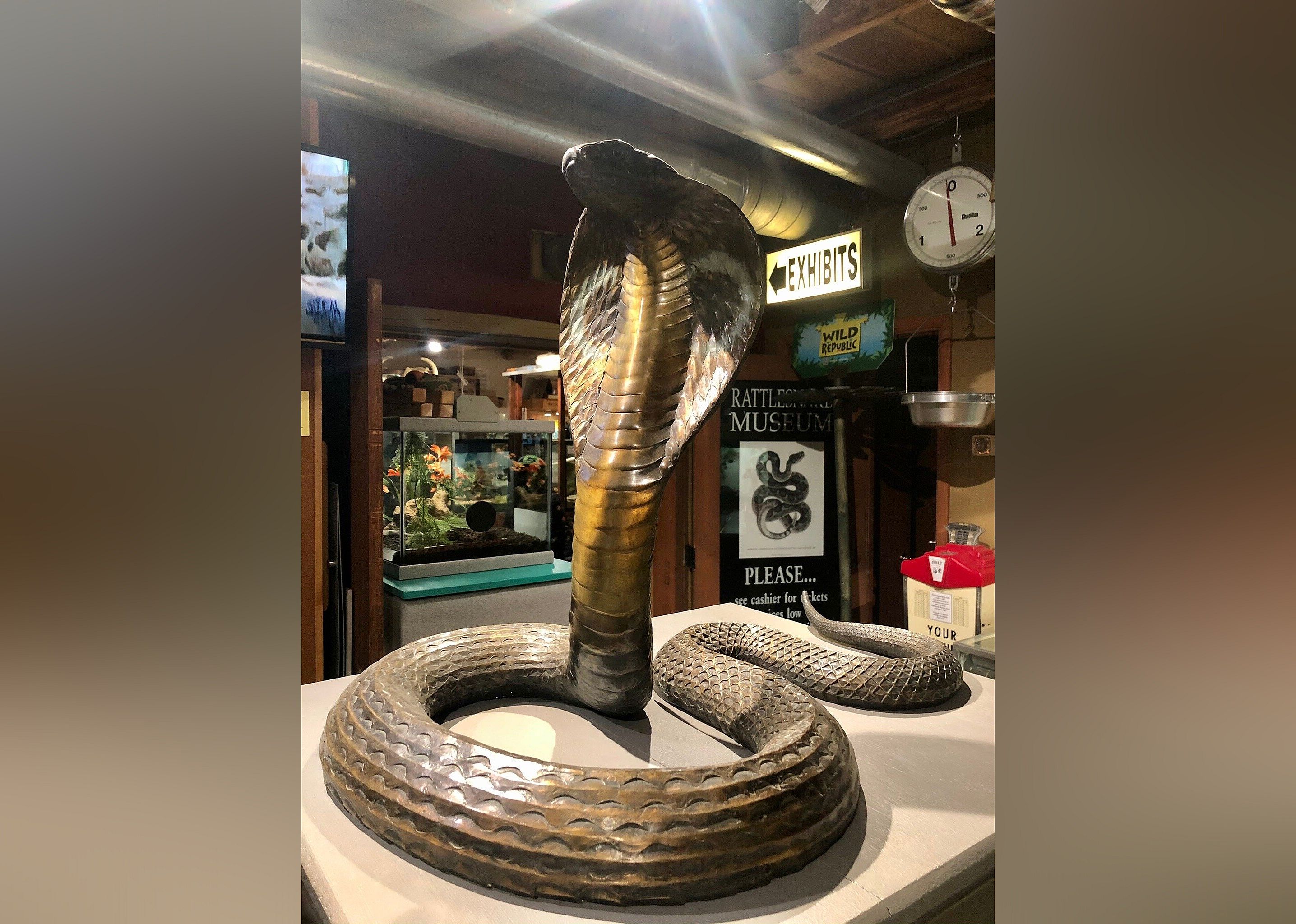 #23. American International Rattlesnake Museum