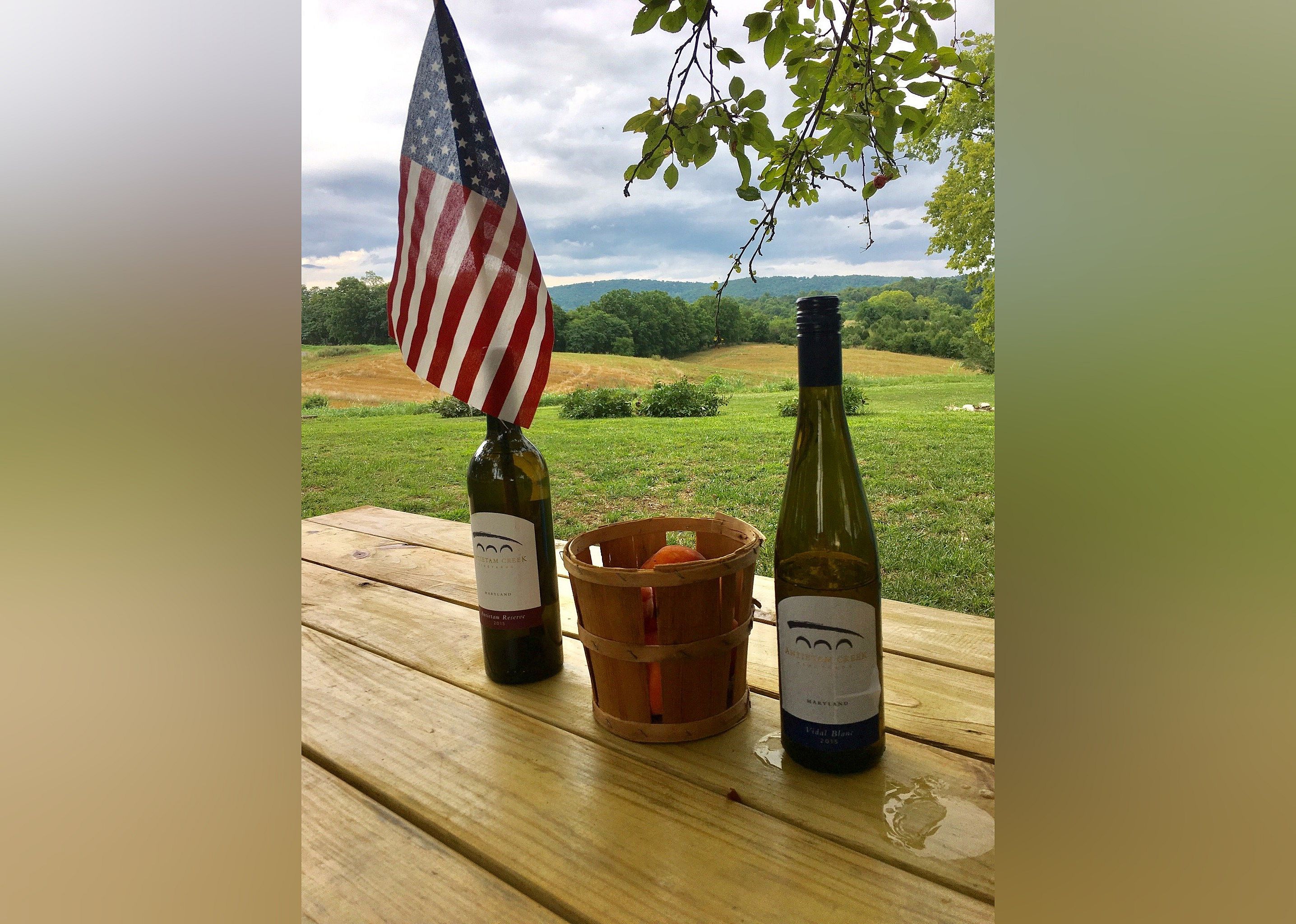 #23. Antietam Creek Vineyards