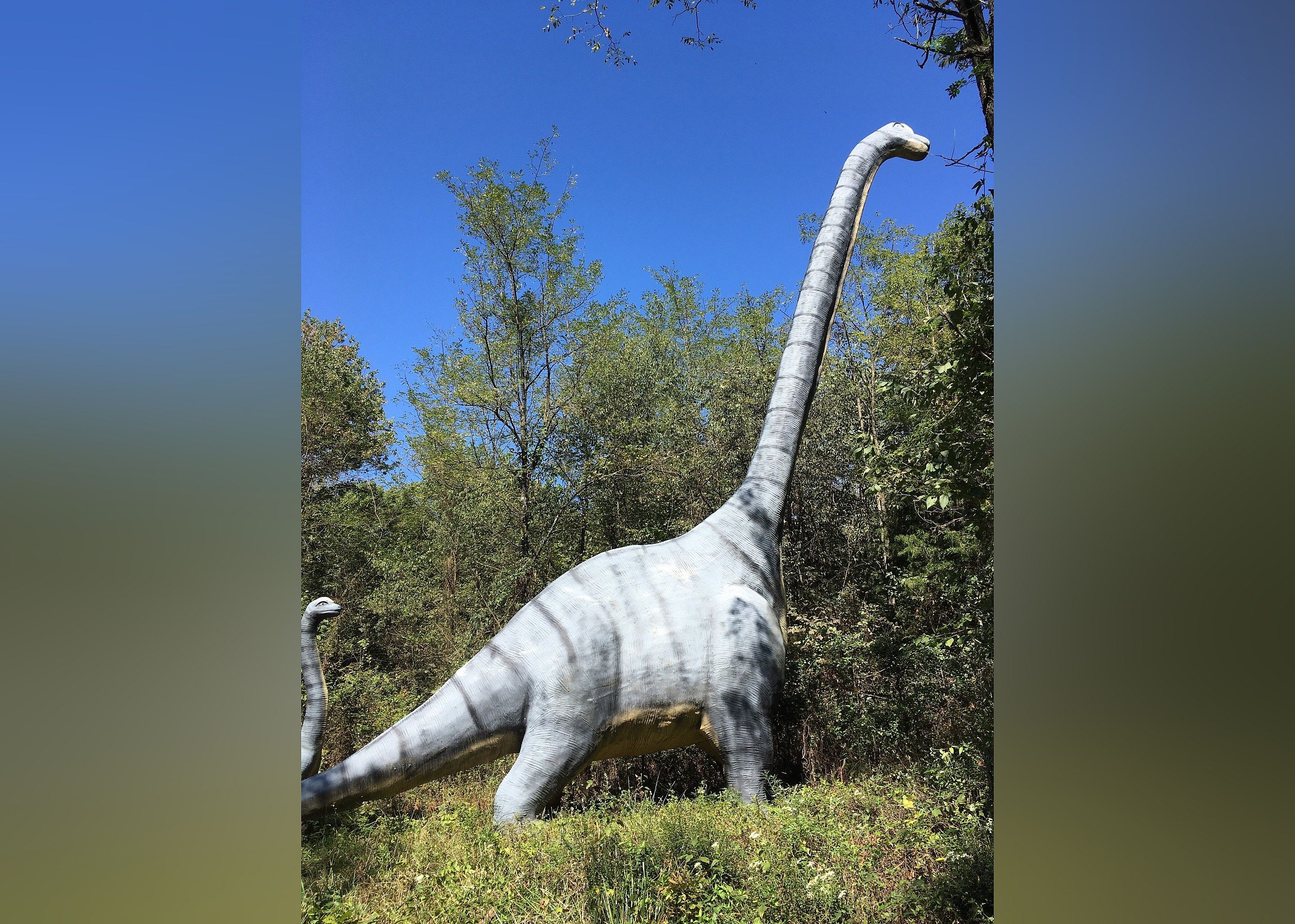 #9. Dinosaur World