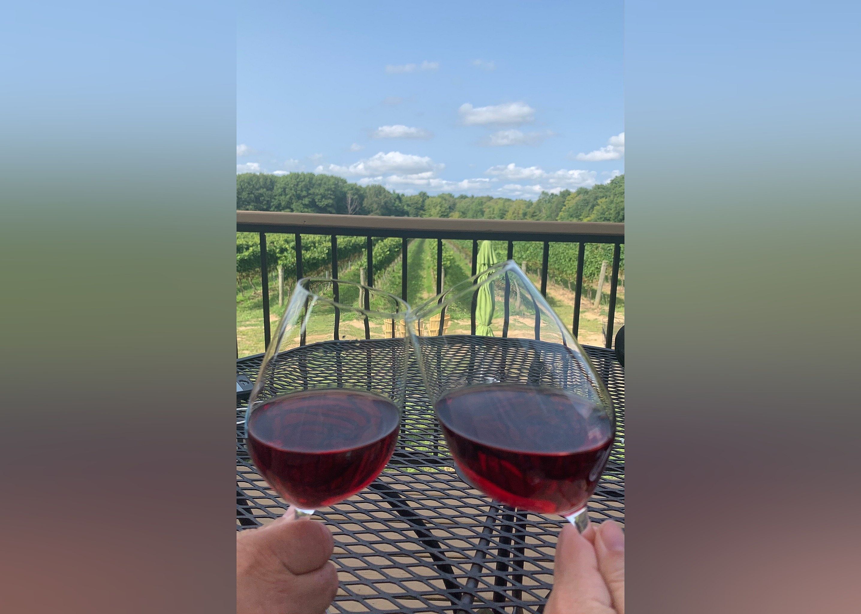 #3. M Cellars