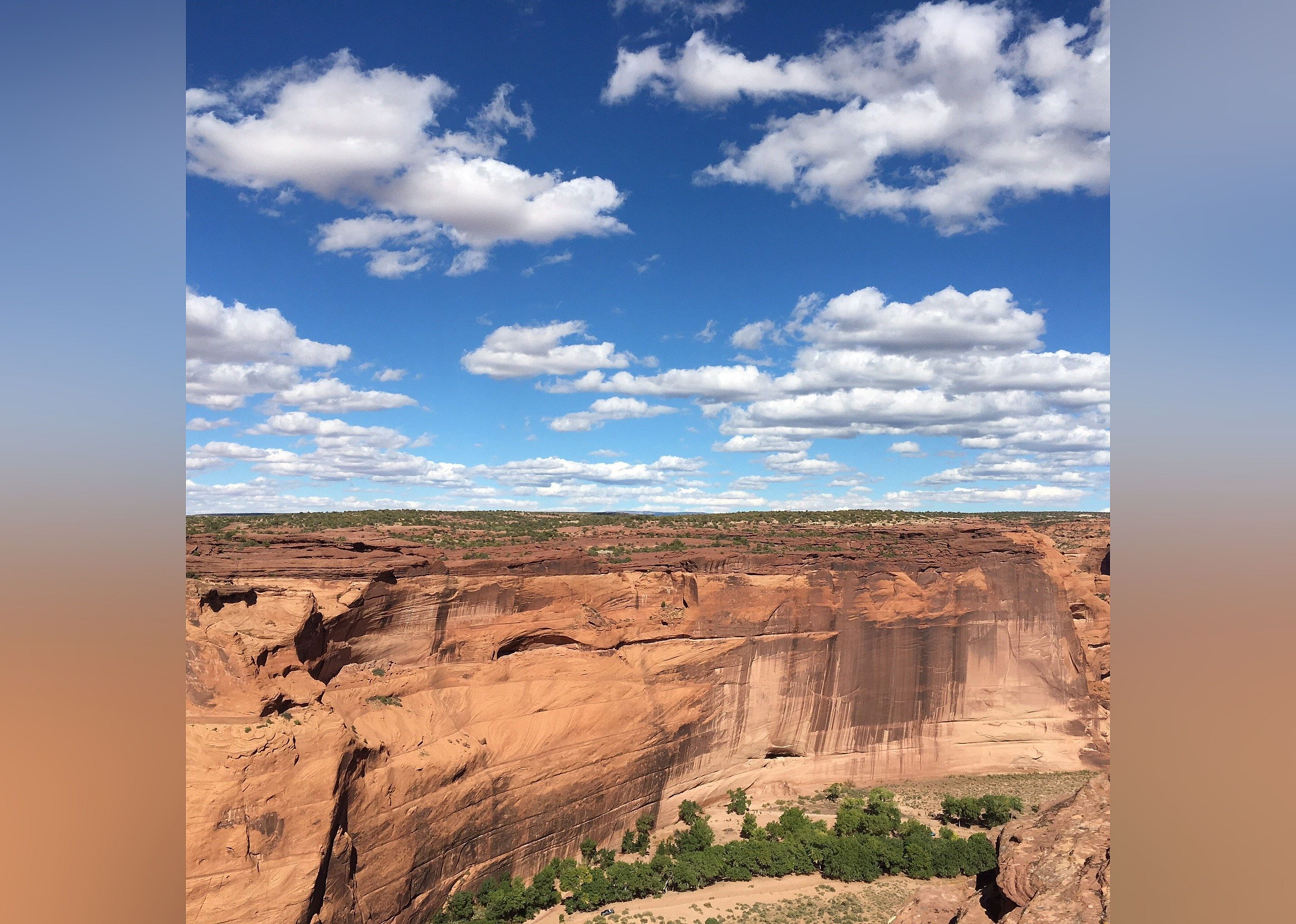 #21. White House Overlook