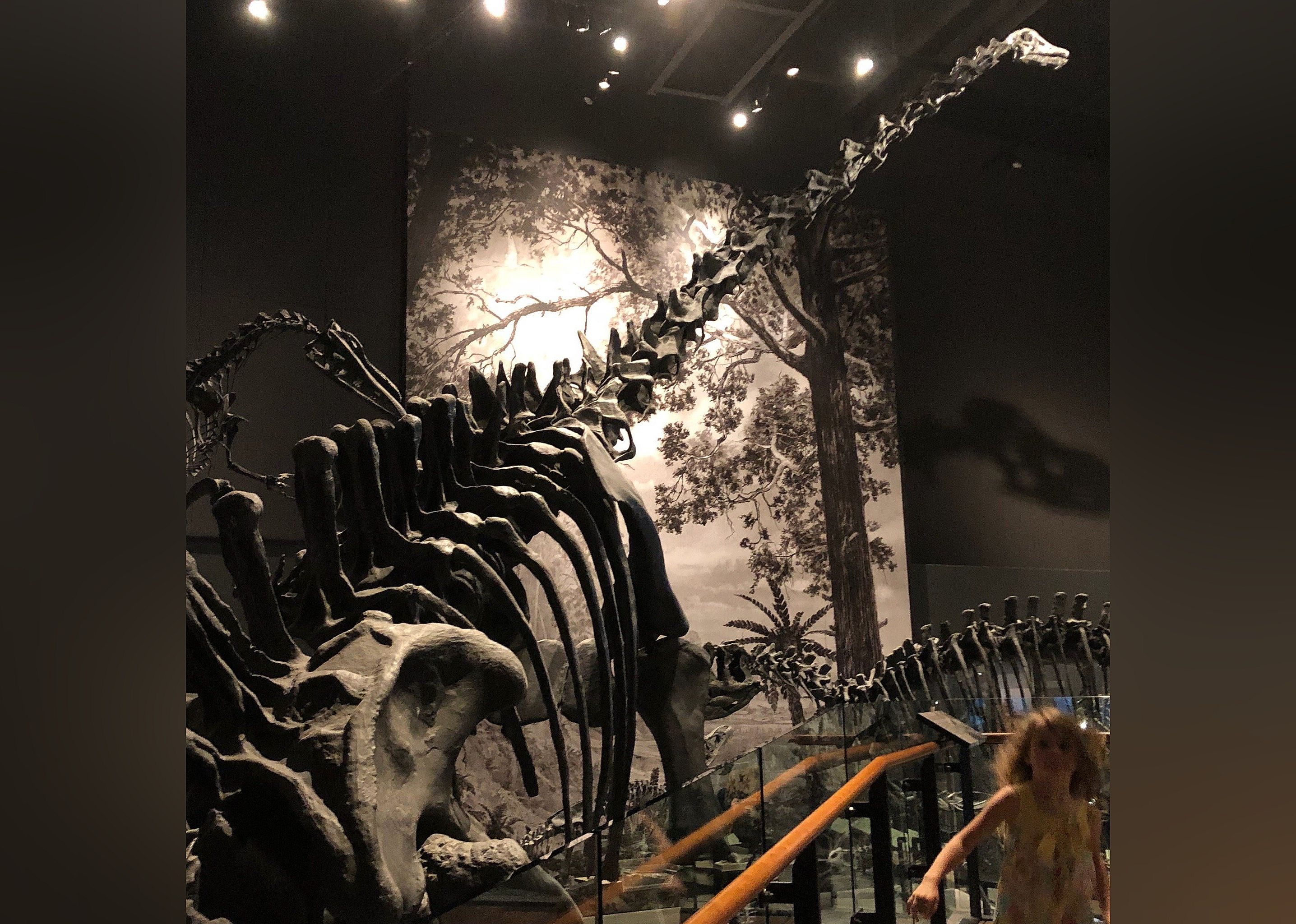 #13. Natural History Museum of Utah