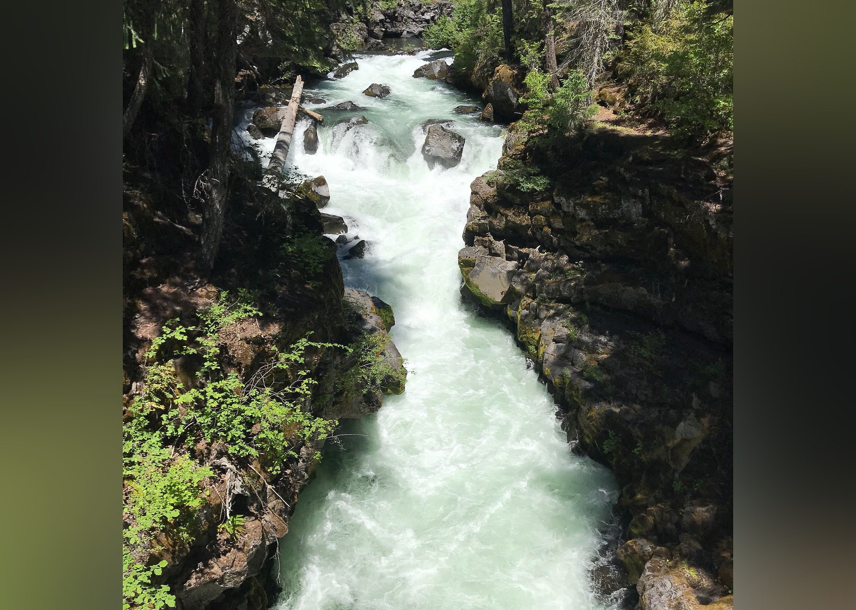 #5. Natural Bridge Viewpoint