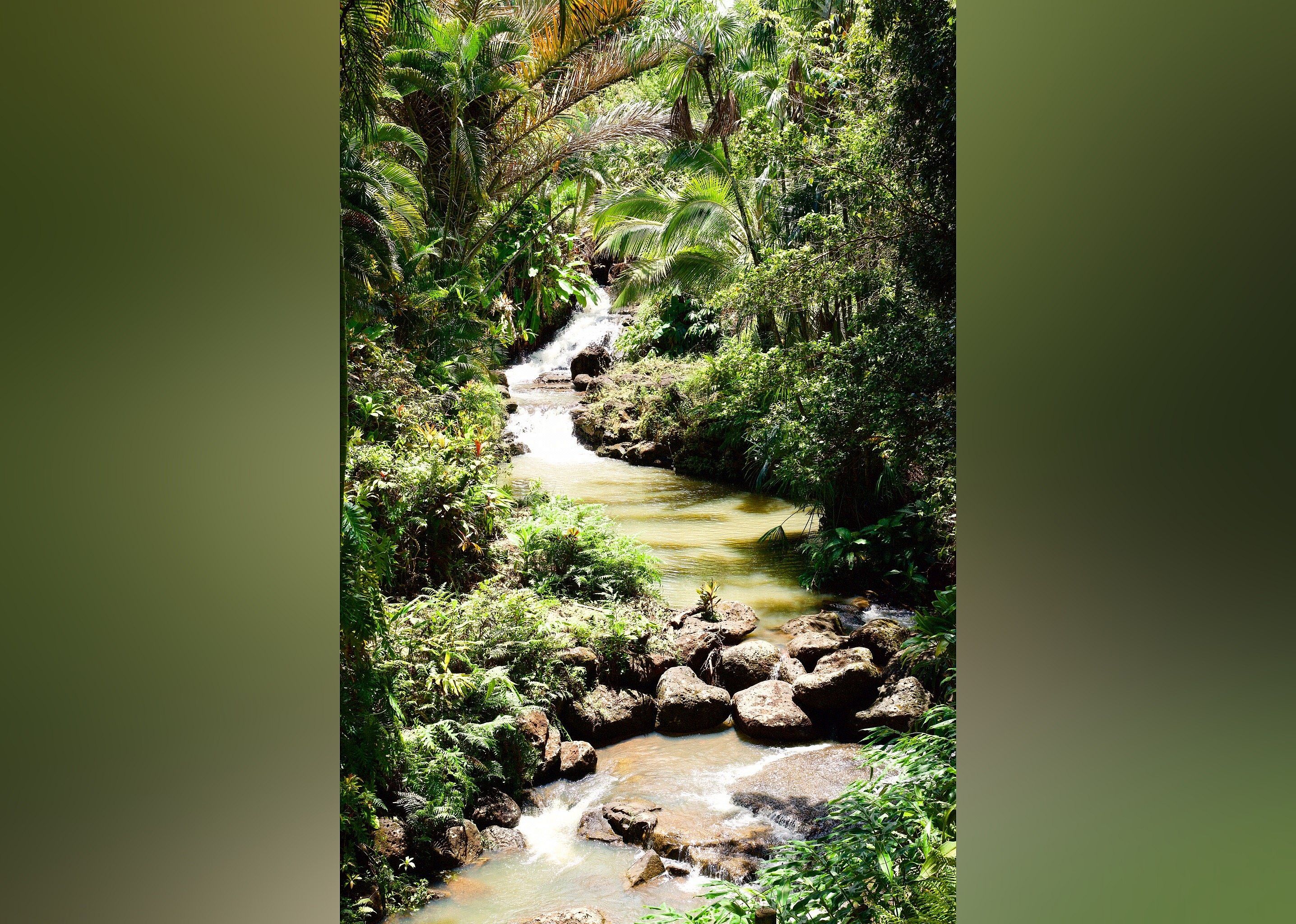 #9. Princeville Botanical Gardens