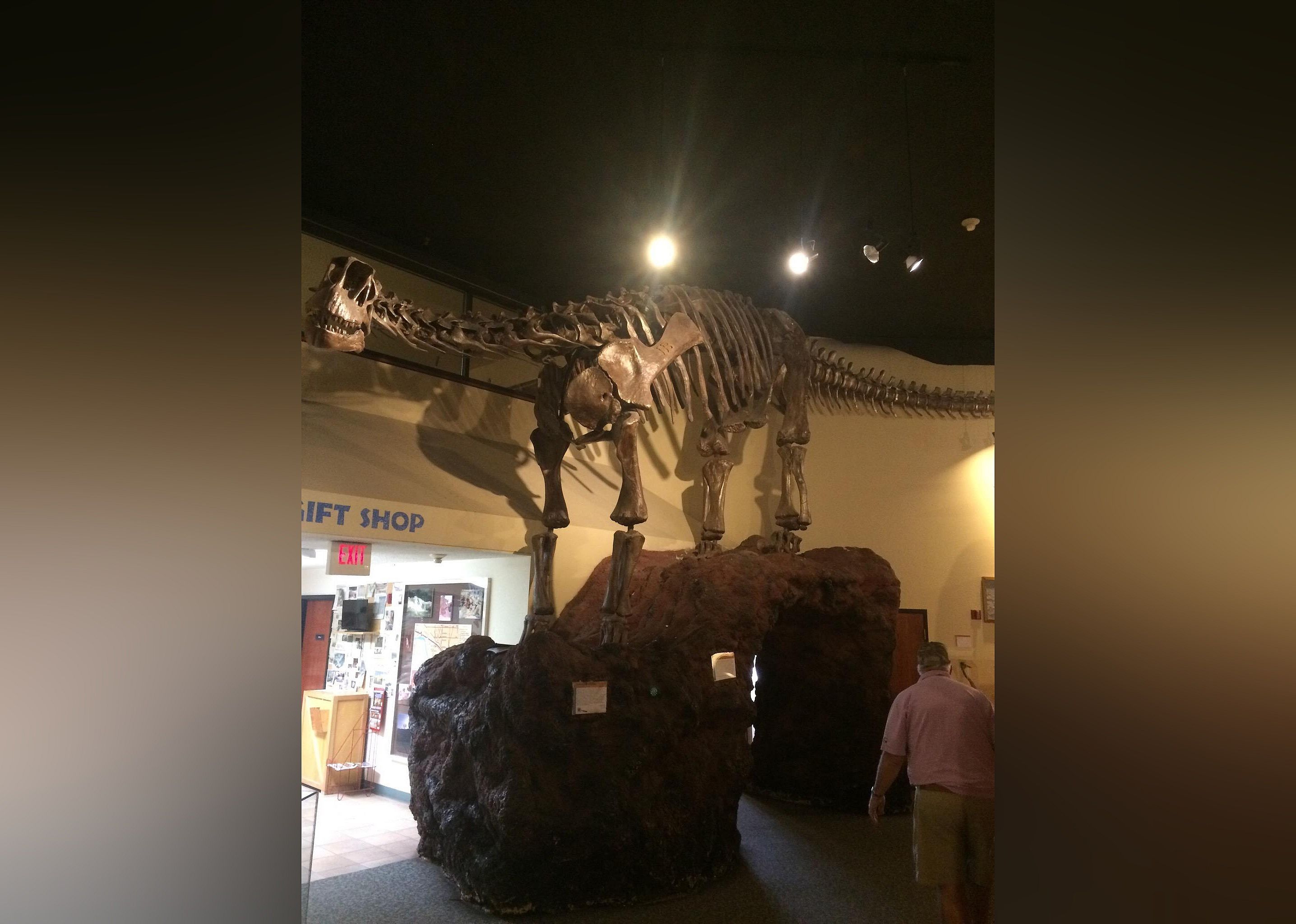 #20. Museum of Western Colorado: Dinosaur Journey Museum