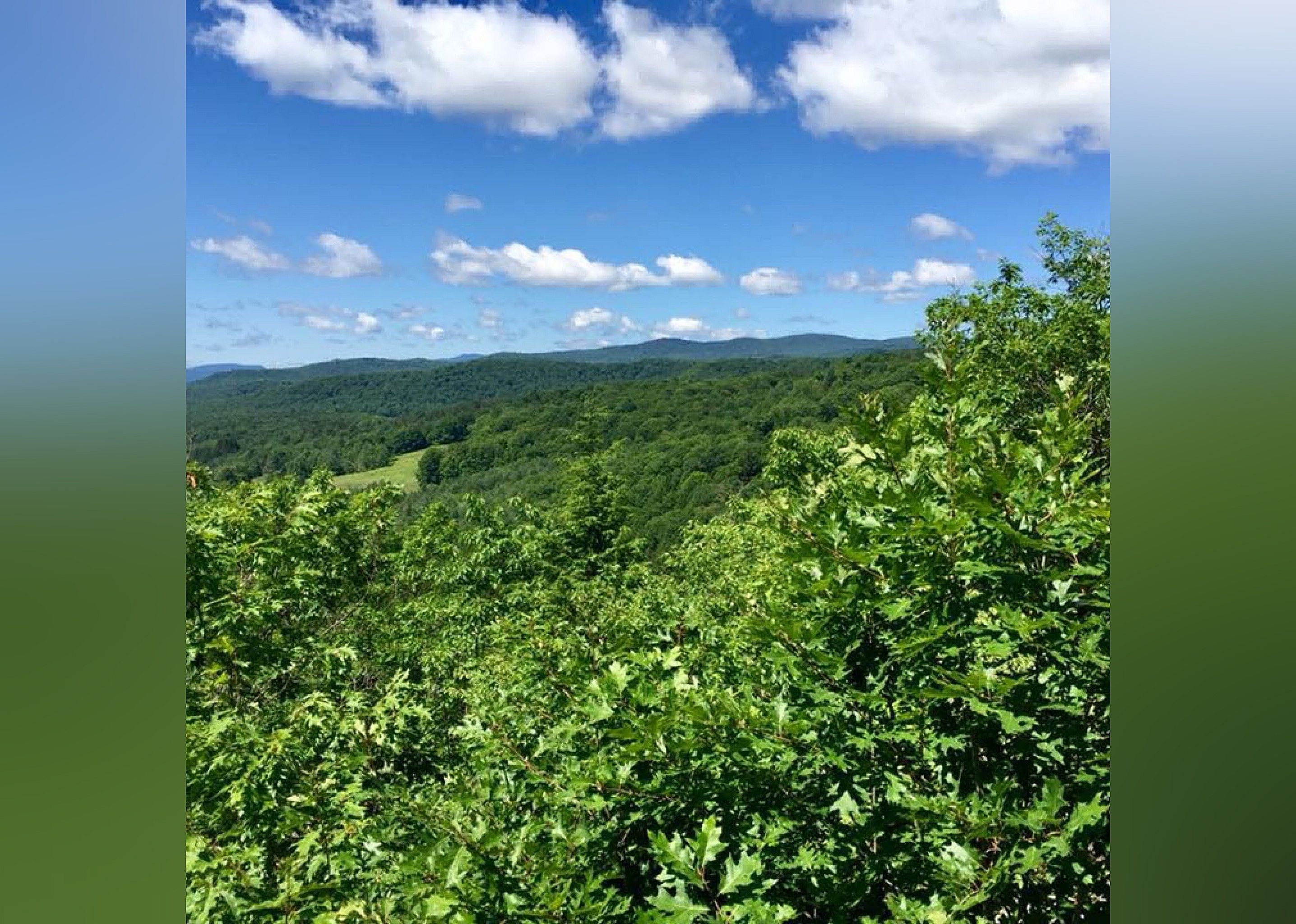 #29. Mount Tom