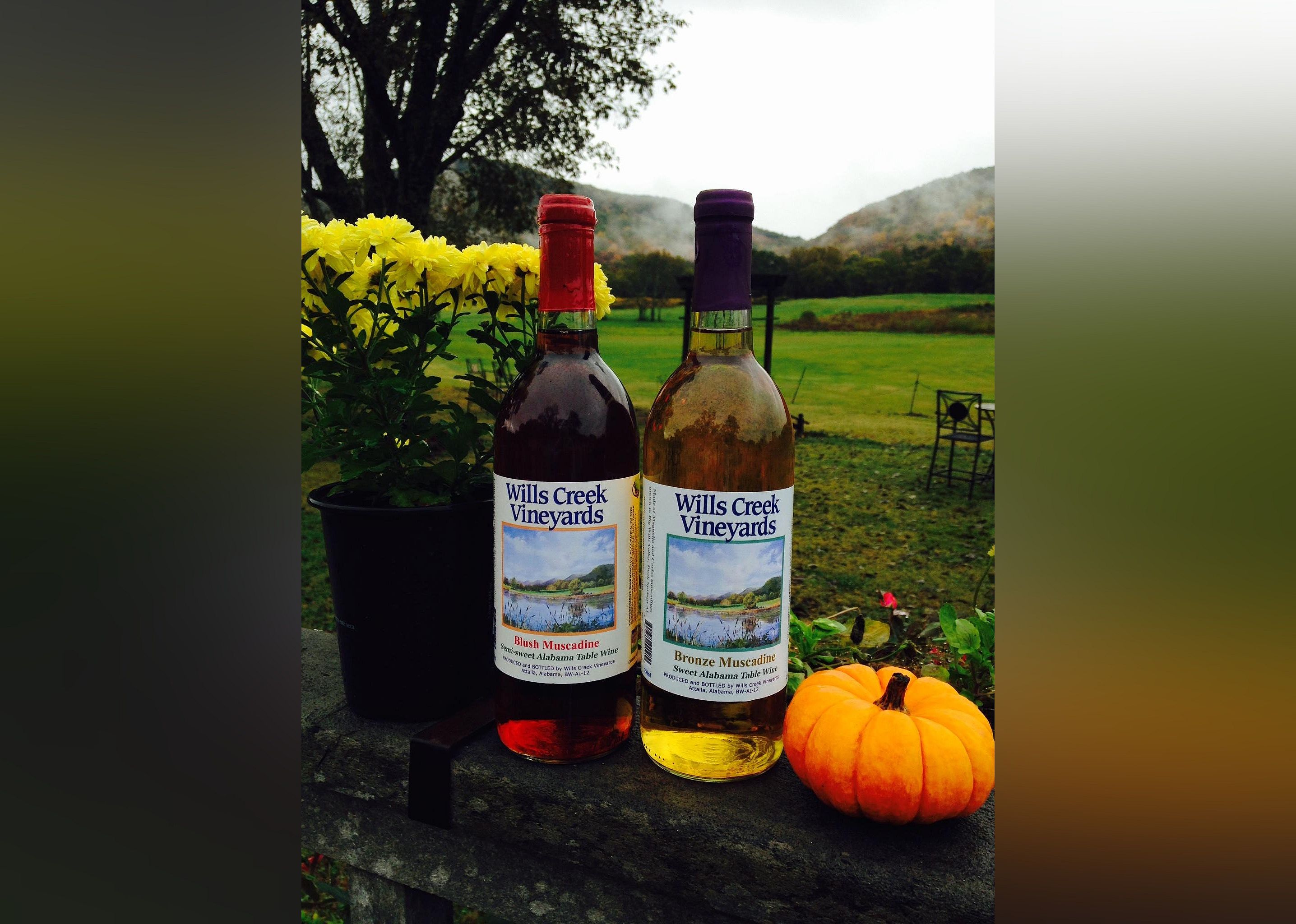 #2. Wills Creek Vineyards