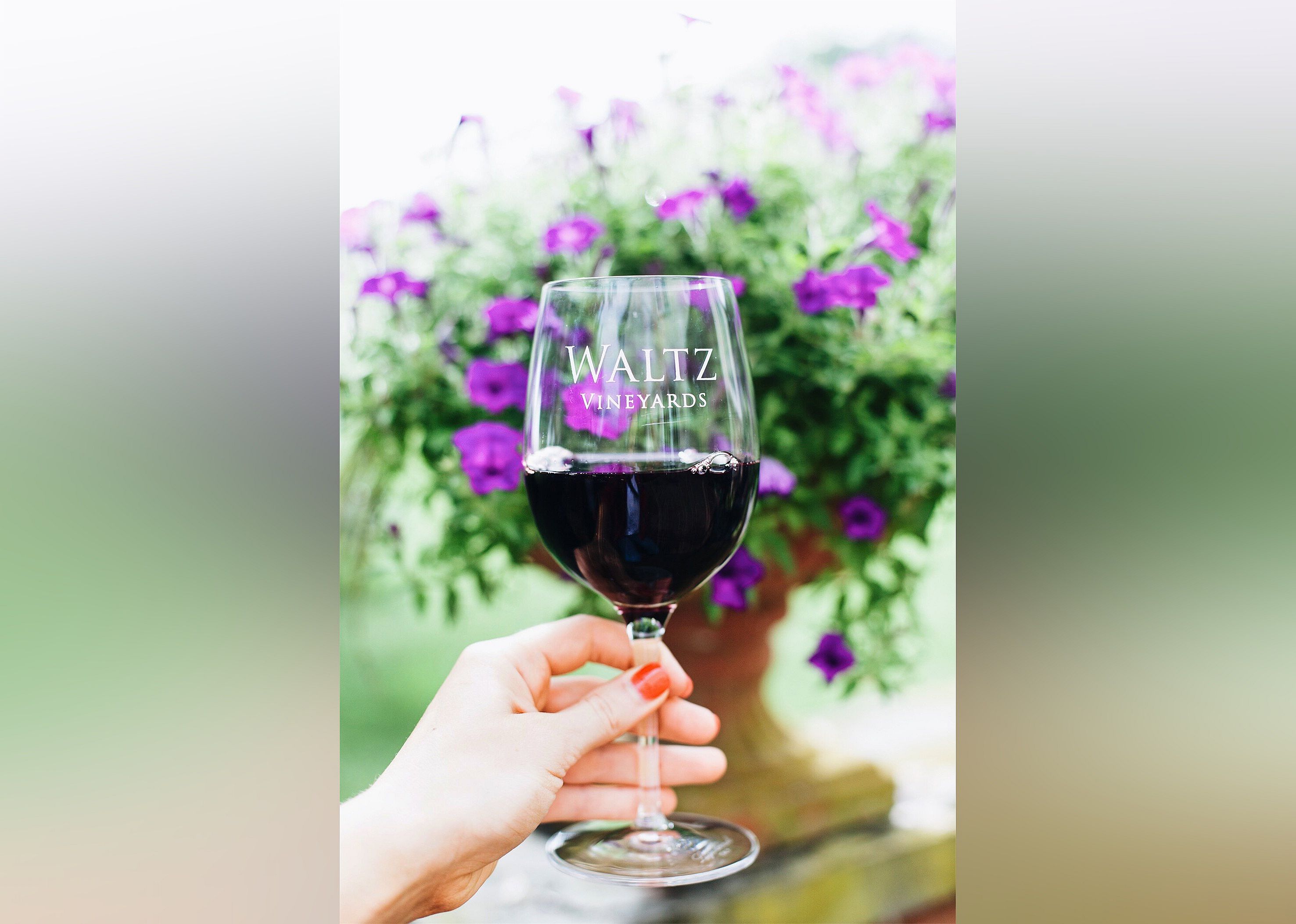 #21. Waltz Vineyards