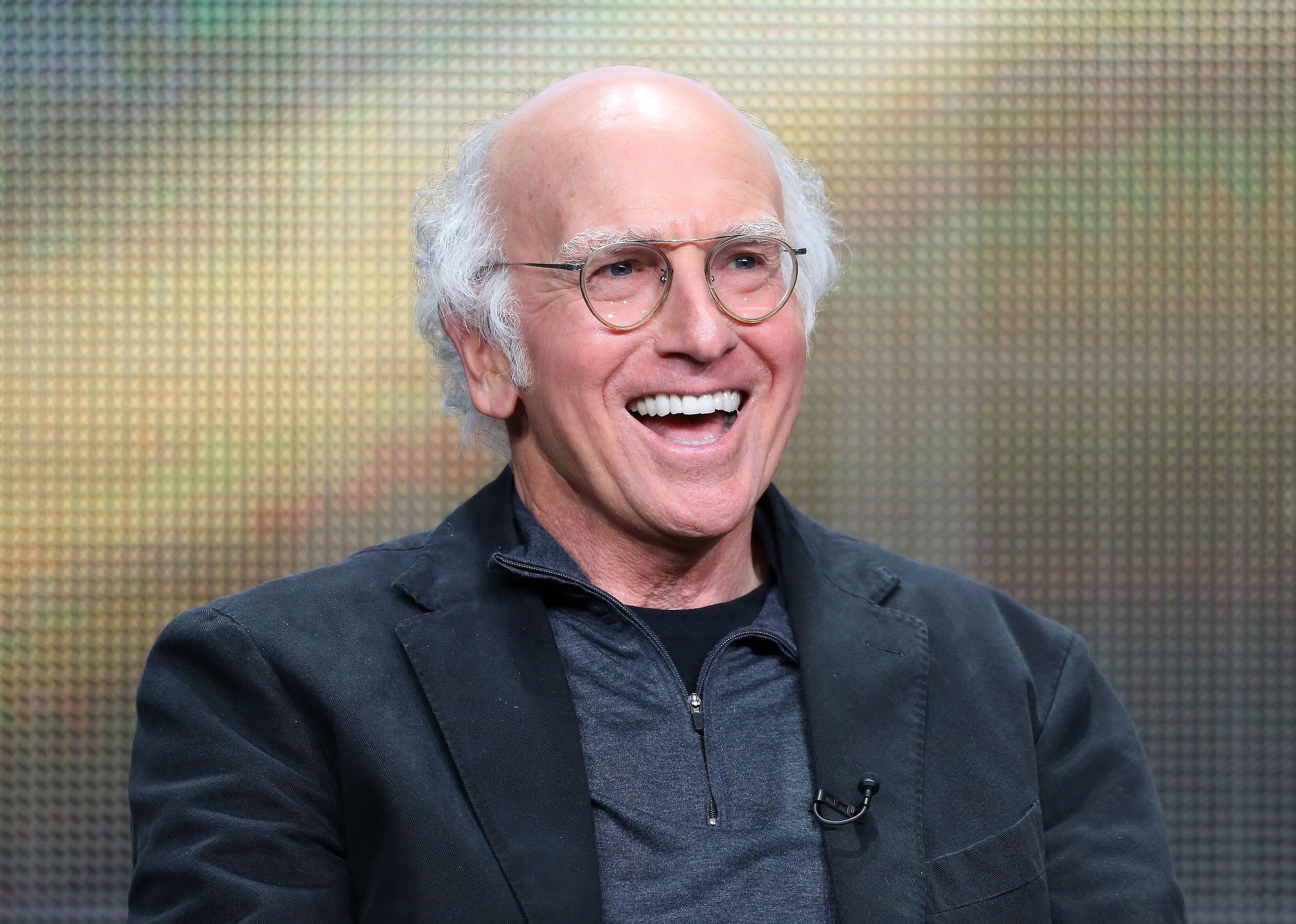 Answer #14: Who is Larry David?
