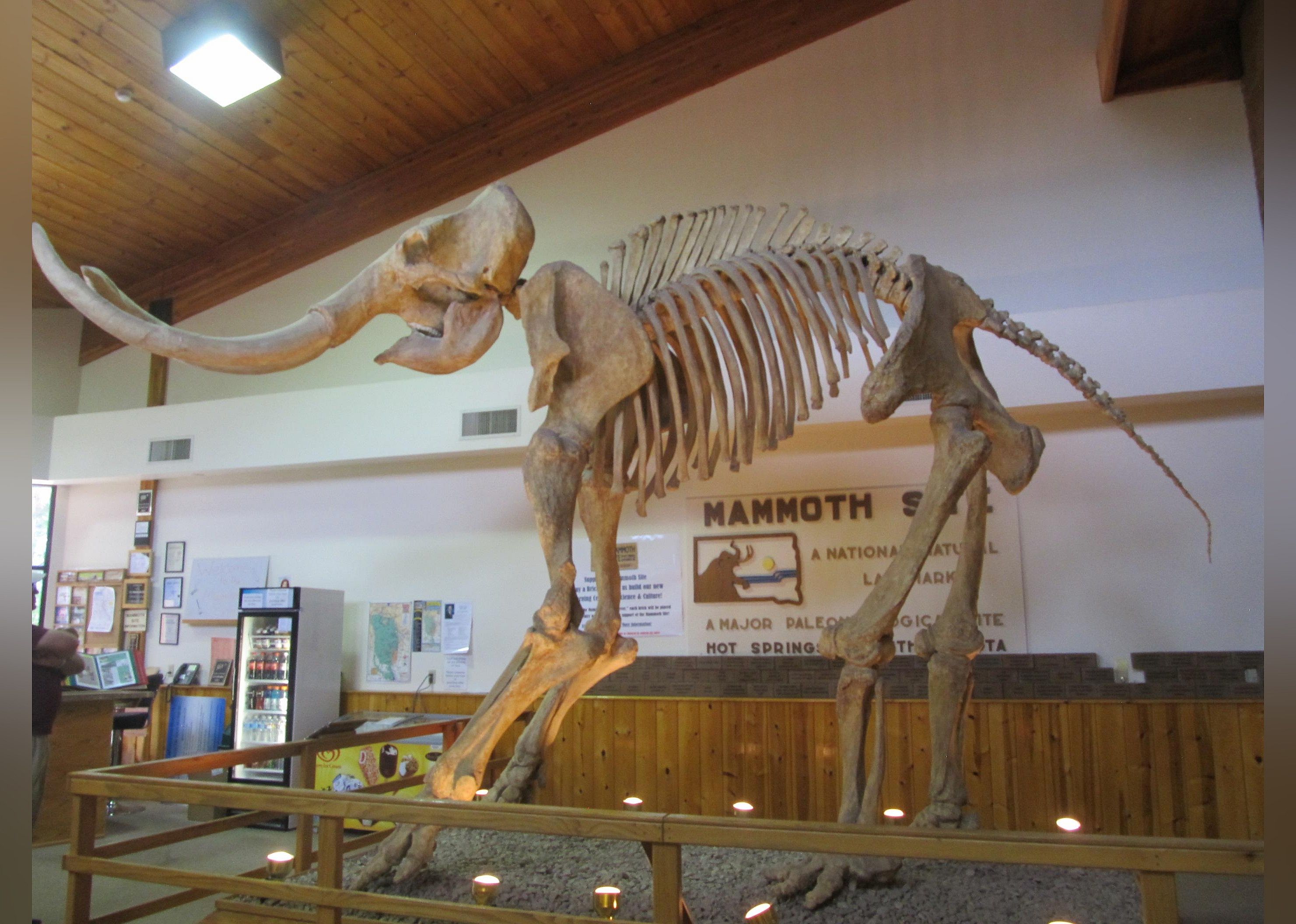 #13. The Mammoth Site of Hot Springs