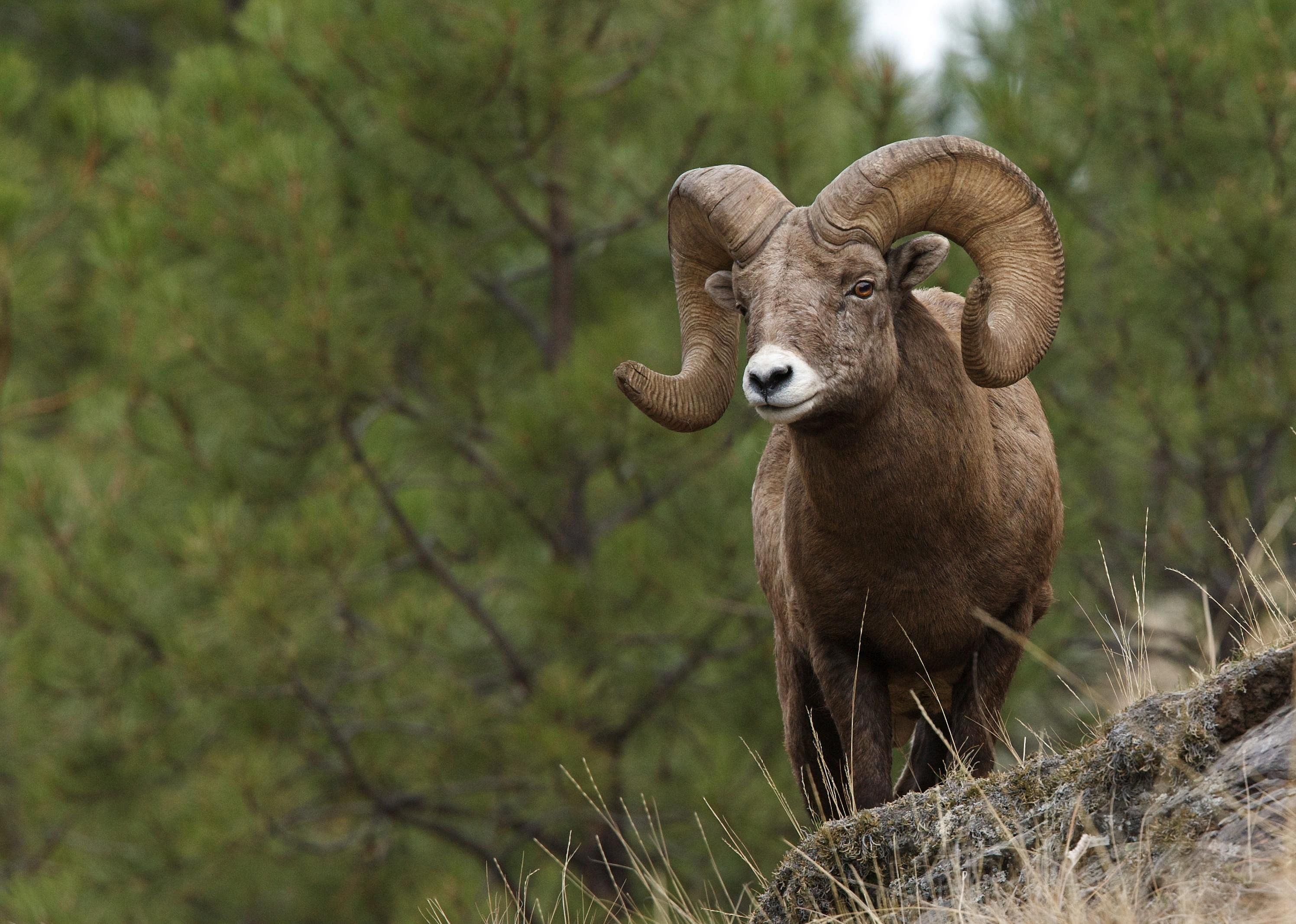 Answer: Colorado