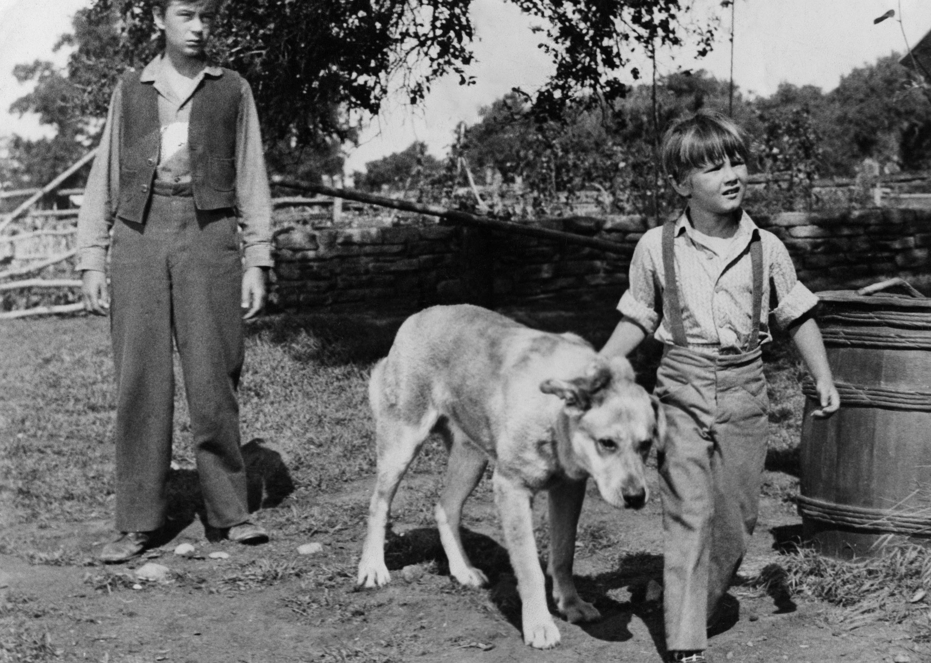 Answer #24: Who is Old Yeller?