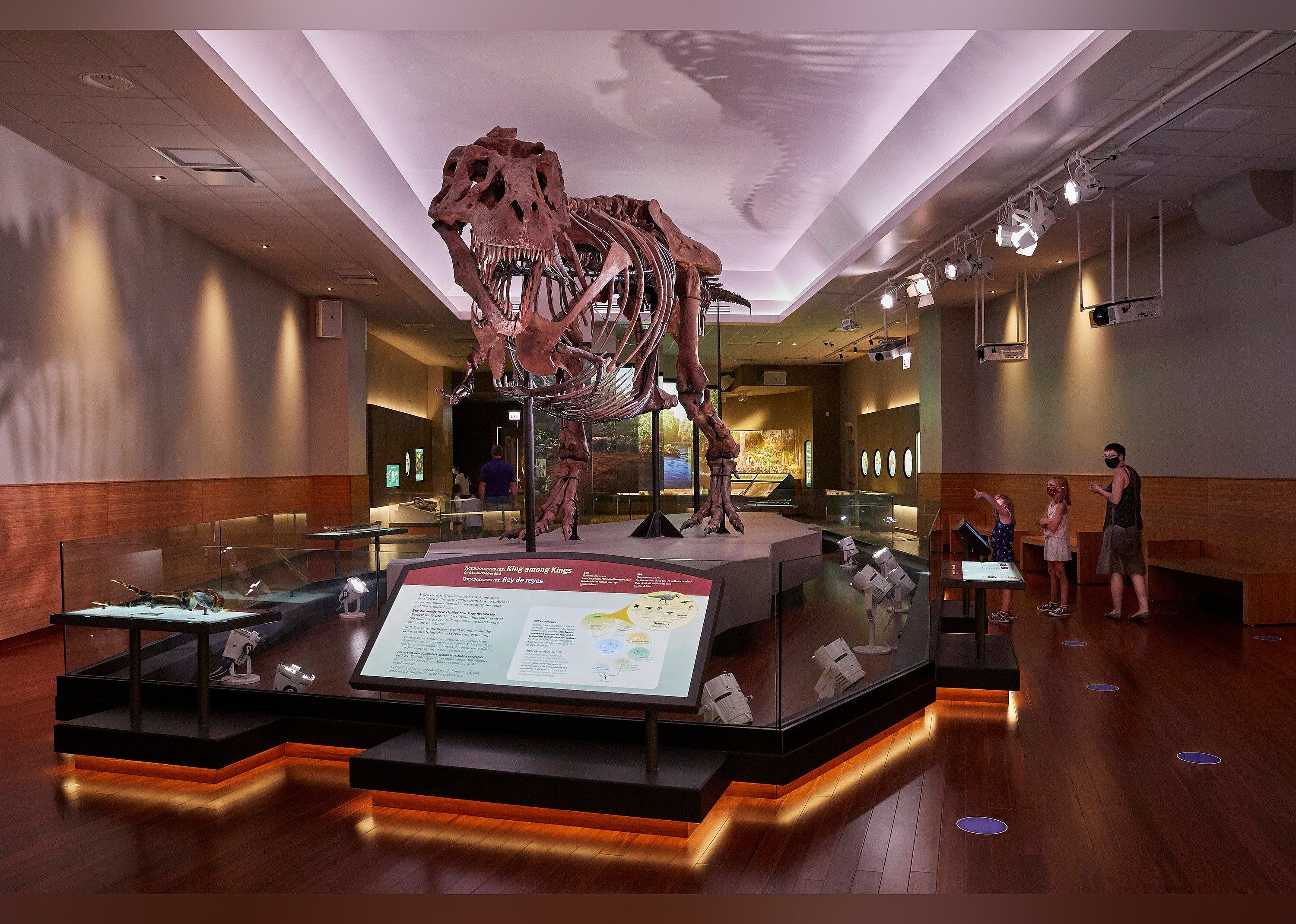 #8. Field Museum