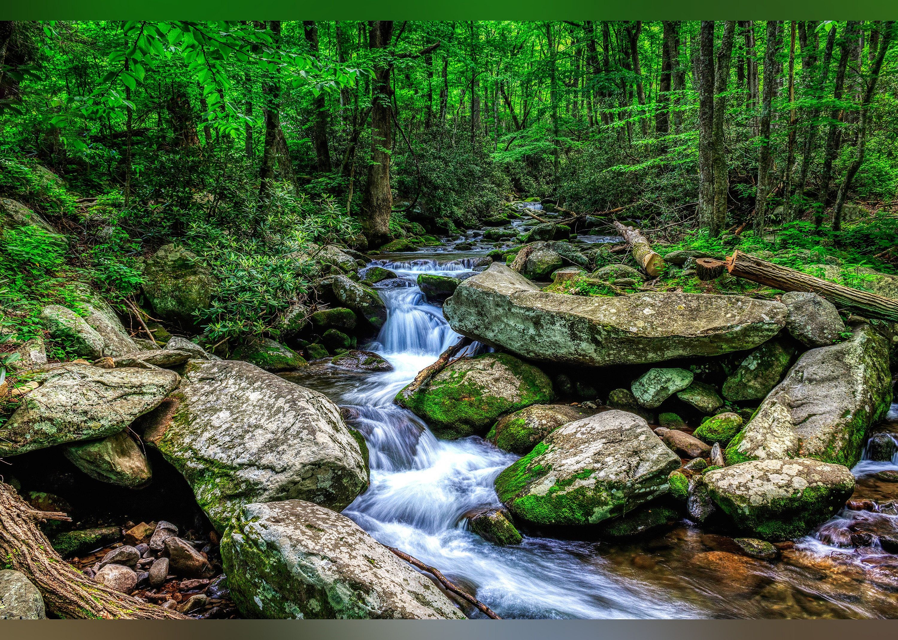 #1. Roaring Fork Motor Nature Trail