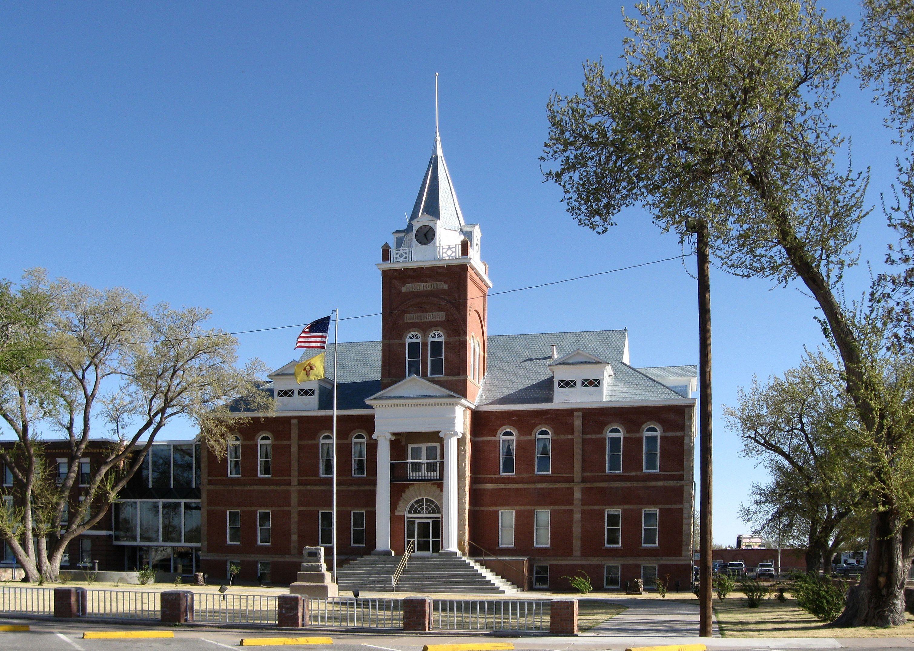 #9. Luna County