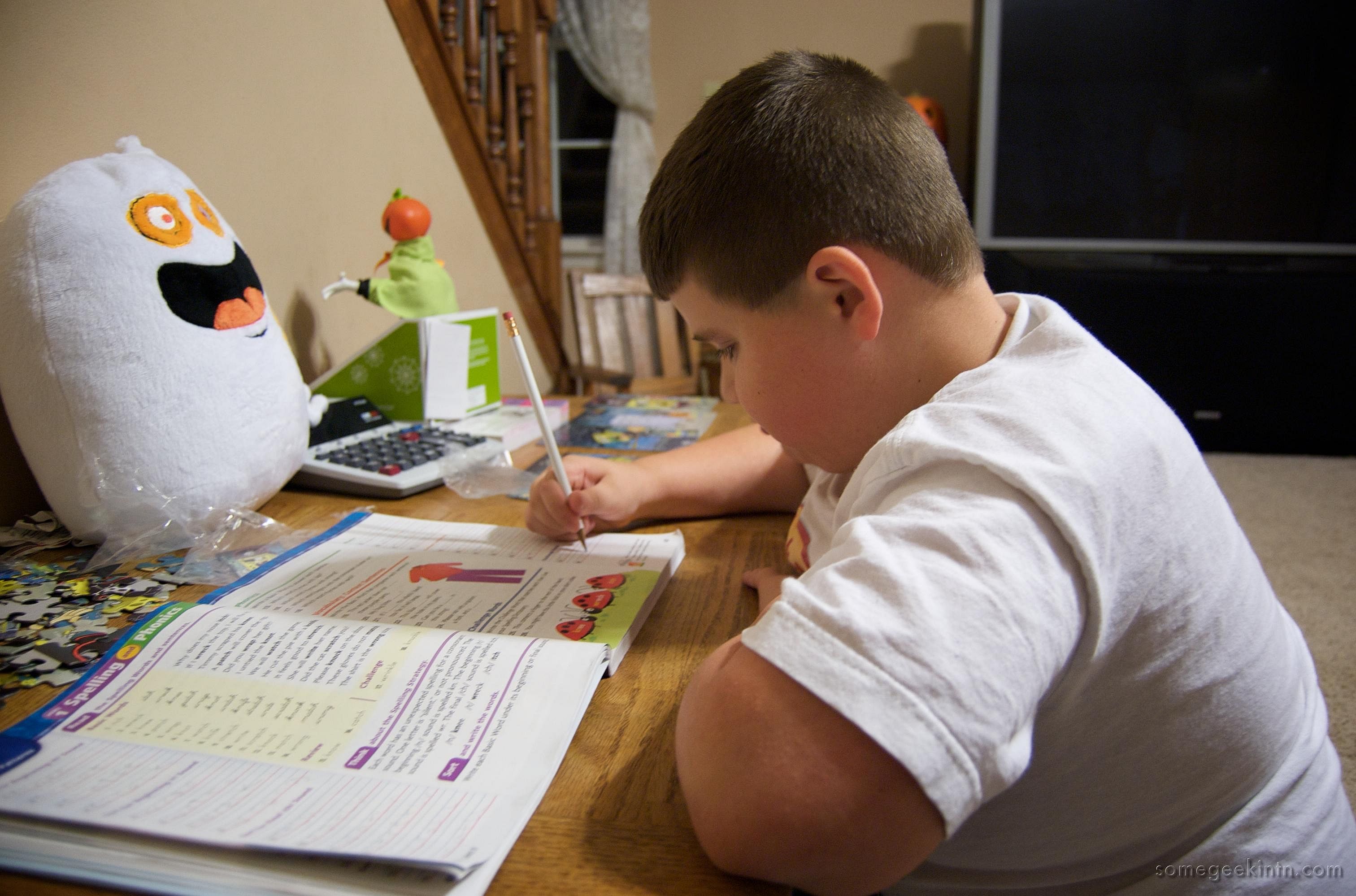 #20. Homework and research