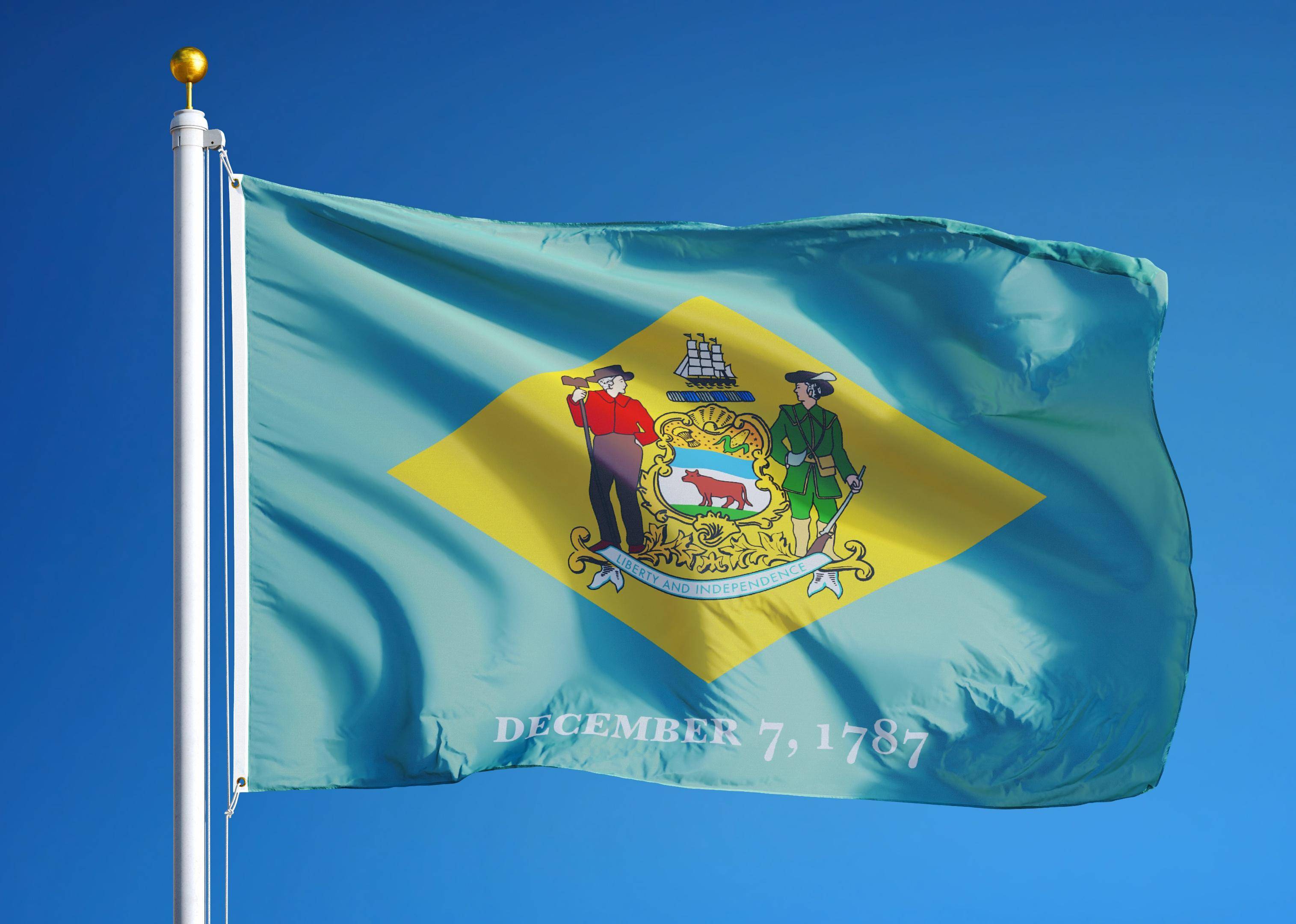 Flag #8
