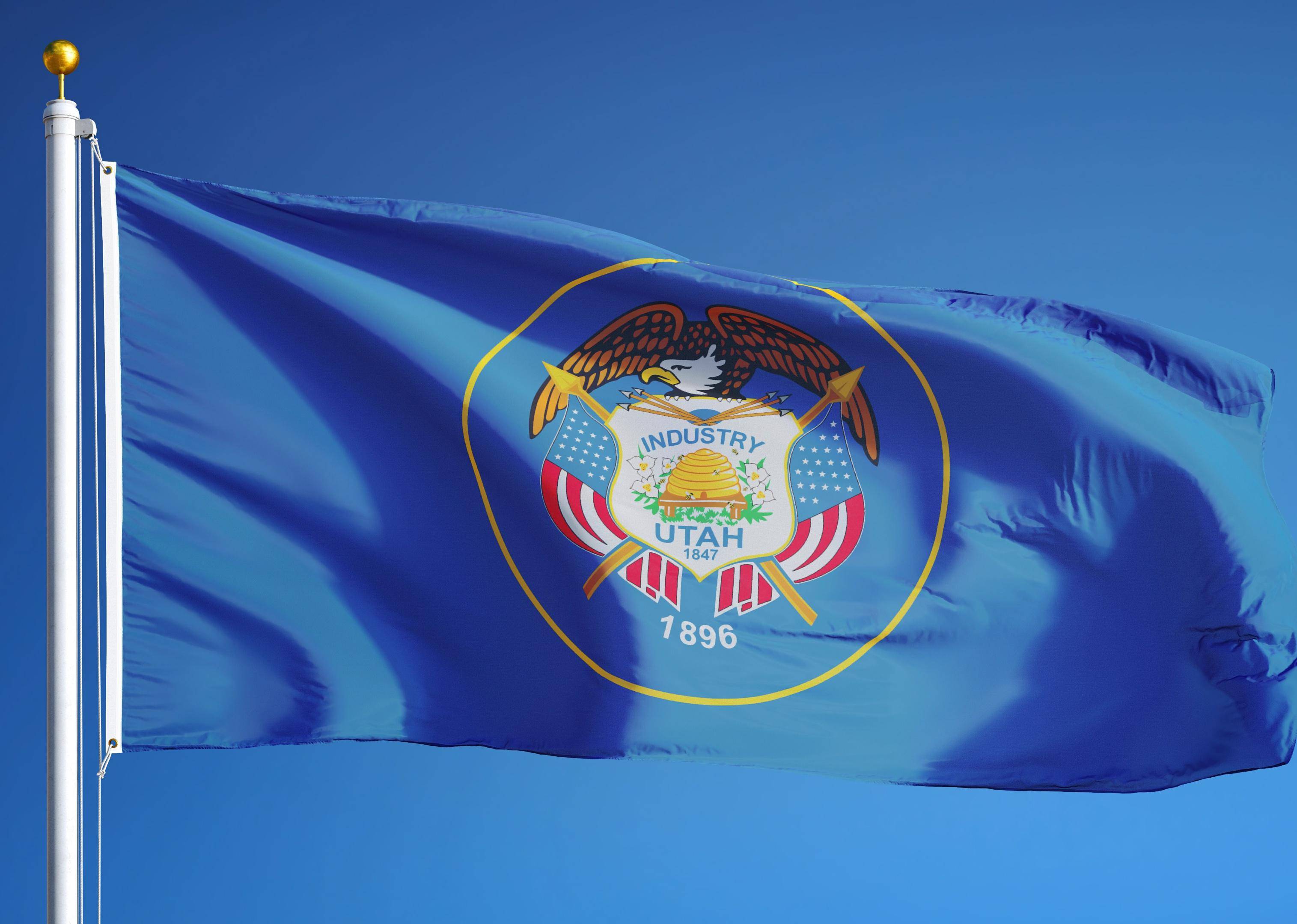 Flag #44