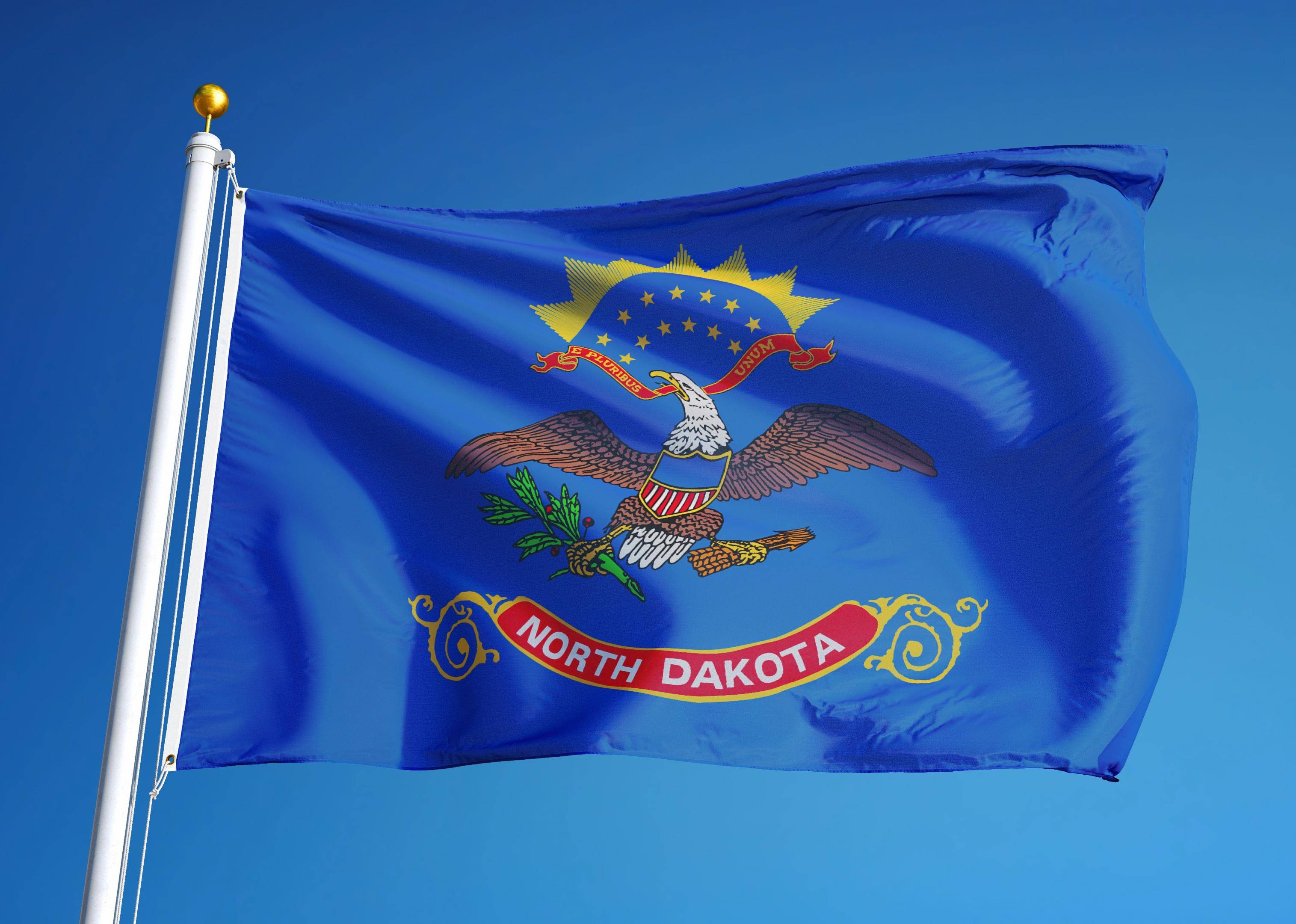 Flag #34