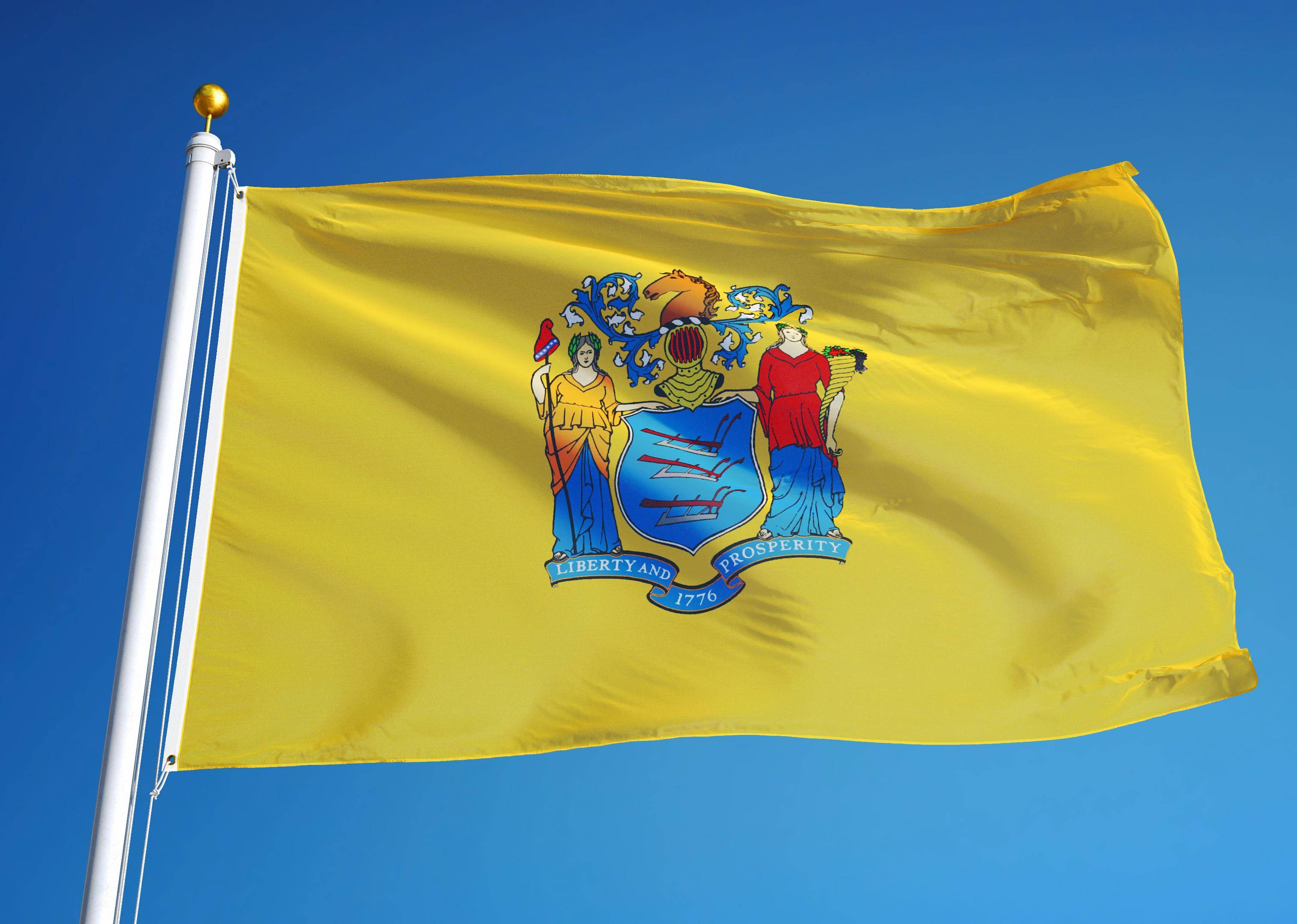 Flag #30