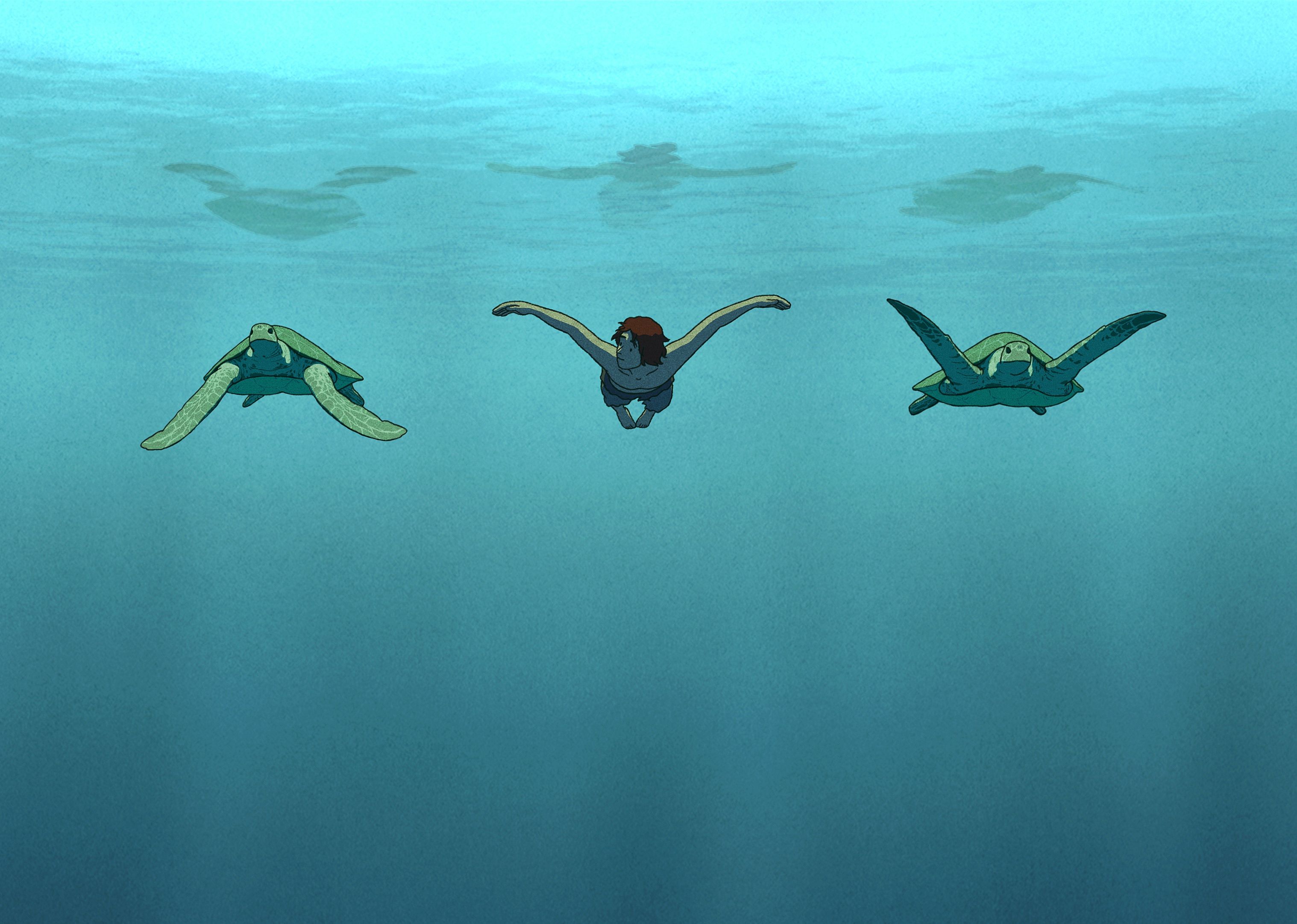 #22. The Red Turtle (2016)