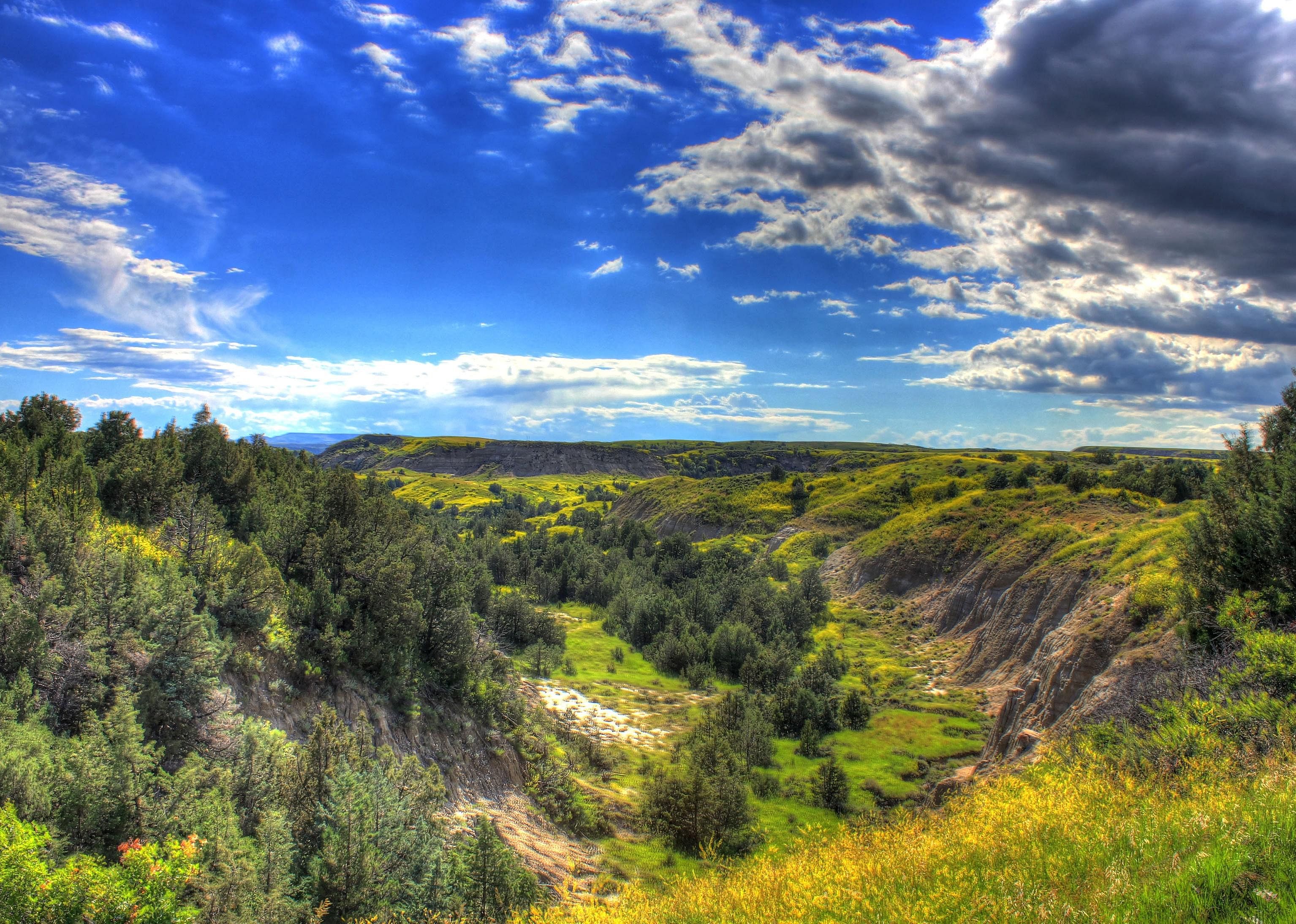 #50. North Dakota