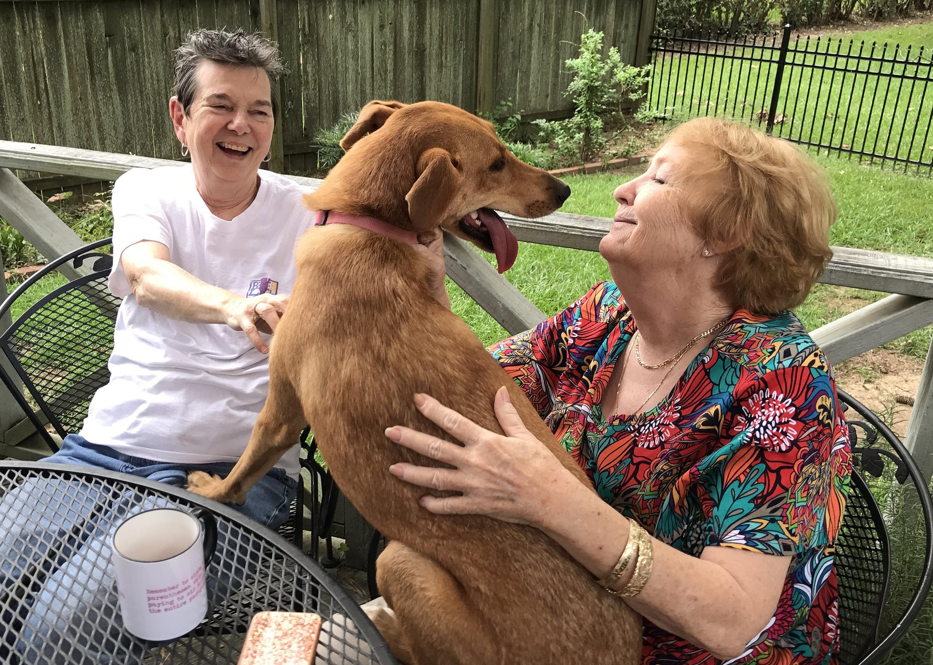 A maternal bonding system like no other