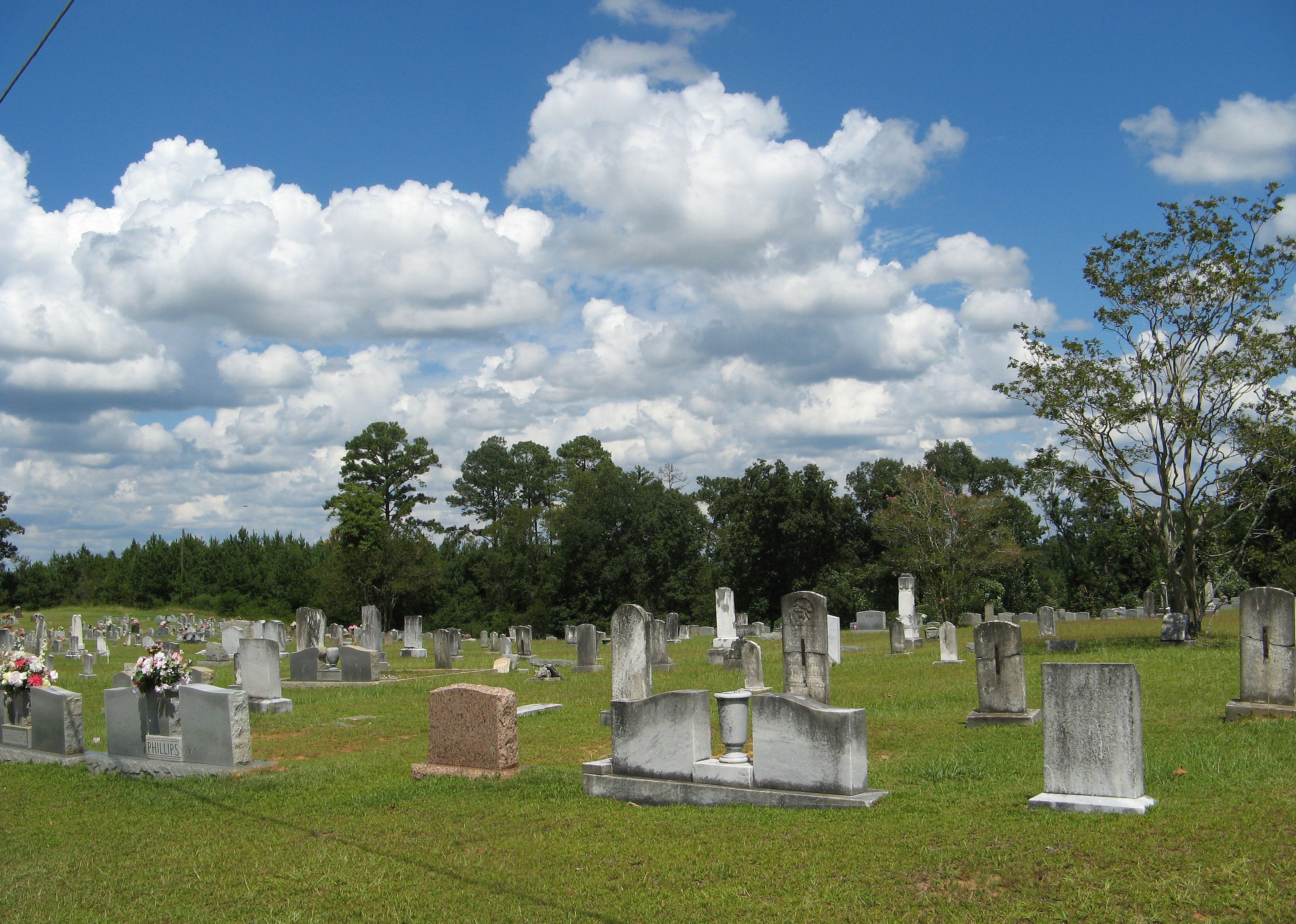 #10. Jasper County